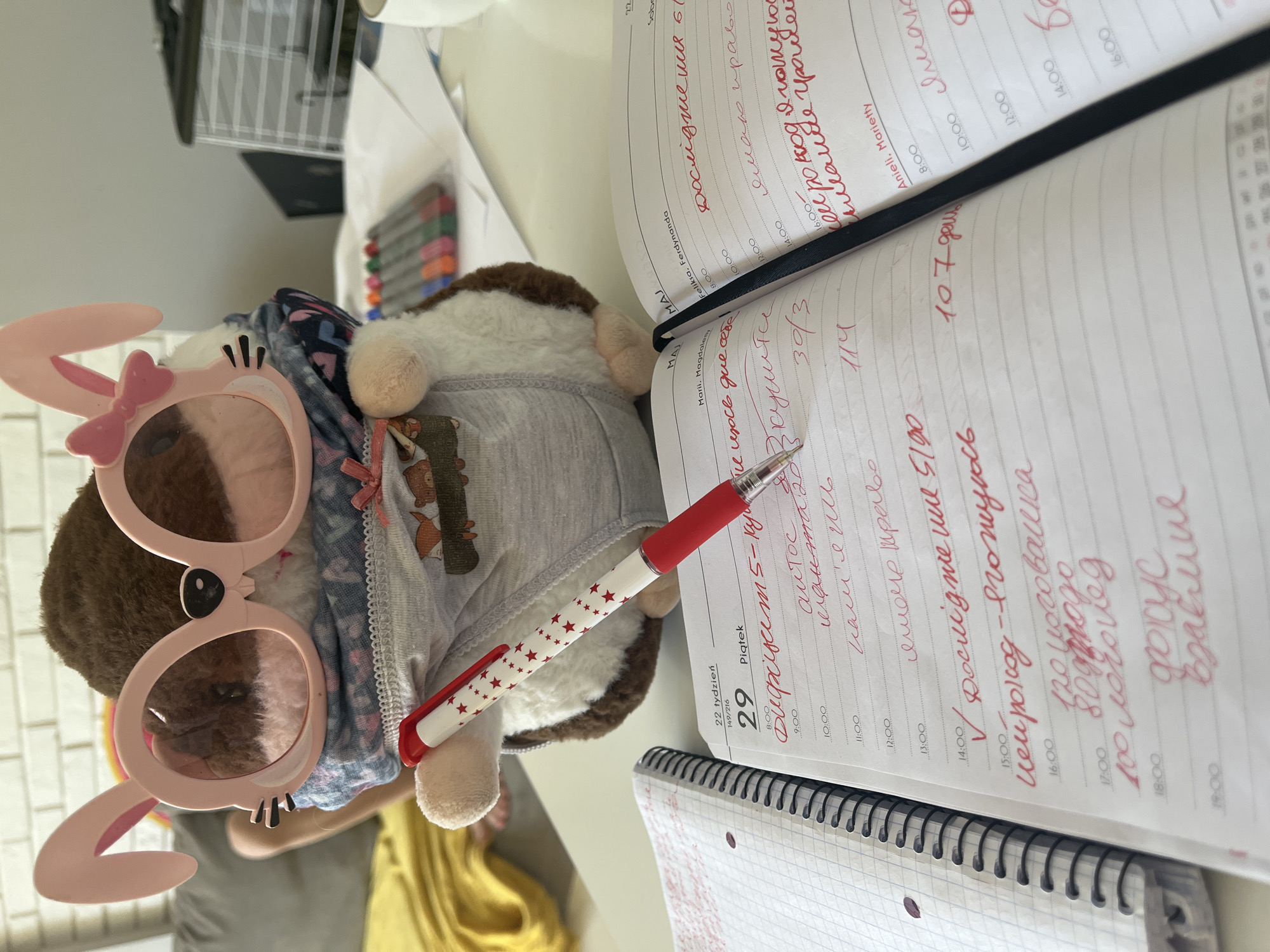 A still life presents a plush toy wearing pink bunny-ear spectacles and a gray shirt, poised on a desk with a pen in its grasp. The desk is scattered with papers and notebooks, one of which is open to a page filled with handwritten notes in red ink. The writing appears to be in a Cyrillic script, possibly Russian or Ukrainian. The page is dated "29 Piątek" and "22 tydzień" indicating a Polish diary. The scene is well-lit, suggesting indoor conditions, and gives the impression of a cluttered yet functional workspace.