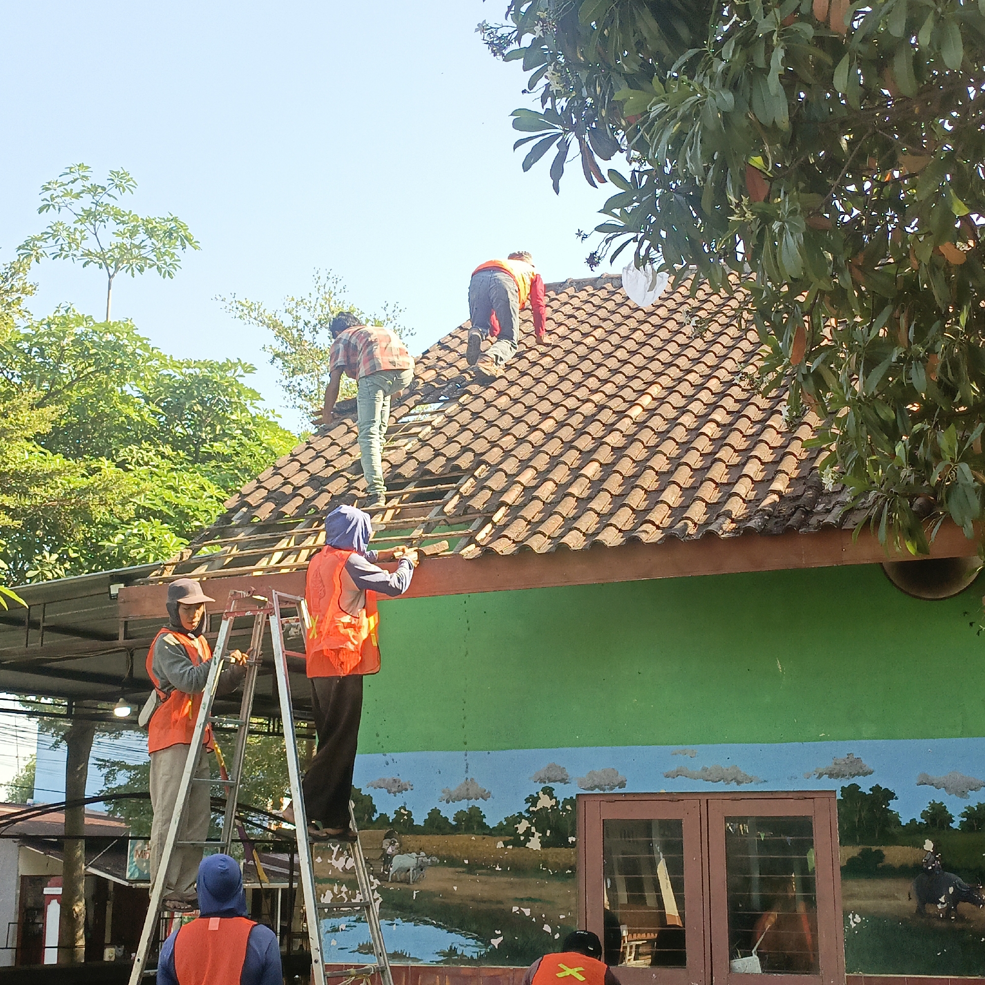 The image depicts a sunny daytime scene in Salatiga, Indonesia, where four construction workers are engaged in repairing or replacing tiles on a terracotta tiled roof. Three of the workers are wearing bright orange safety vests, and two of them are also wearing hoodies. One worker is on a ladder, and another is standing on the roof, while two workers are actively working on the roof's surface. The building beneath the roof is painted green and features a mural depicting a rural landscape with cows, trees, and a person riding a buffalo. There are also trees and foliage visible in the background, suggesting a semi-urban or suburban environment. The overall impression is one of ongoing work under clear skies.