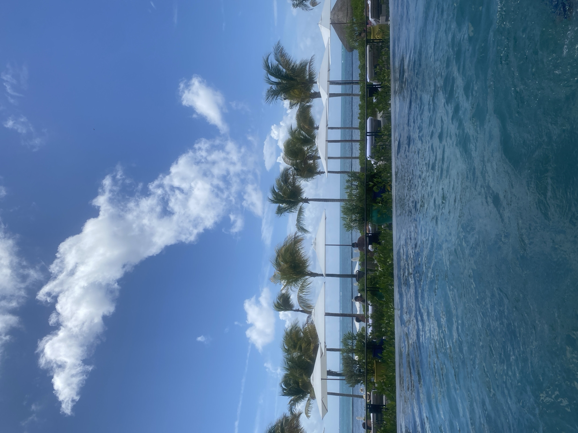 The image depicts a view of a tropical beach setting in Marina Maroma, Mexico. Palm trees line the beach with white umbrellas shading lounge chairs. The sky is blue with scattered white clouds. The turquoise water of the ocean stretches towards the horizon. A section of water is visible in the foreground, possibly a pool. There are some dark objects under the umbrellas, possibly people sitting in chairs. The image is presented with the horizon positioned vertically.