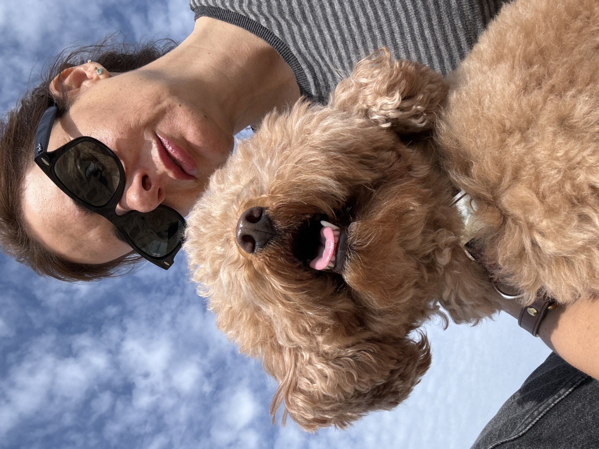 An overhead close-up shot captures a person and a dog, viewed from below against a bright blue sky with scattered white clouds. The image is oriented with the person's head on the left and the dog's head on the right, both looking slightly downwards towards the camera.
The person, whose face is partially visible and angled, wears dark sunglasses and has dark brown hair. A small, light blue earring is visible in her left ear. She appears to be smiling subtly. Her attire includes a grey and black striped top and dark-colored fabric, possibly jeans, on her lower right arm/body.
Beside her, a fluffy, light brown or apricot-colored poodle or poodle mix dog is featured prominently. The dog's mouth is slightly open, revealing its pink tongue and some teeth, suggesting it might be panting or happy. A brown leather collar with metal details is visible around its neck.
The overall scene is an outdoor setting under a clear daytime sky, indicating fair weather. The perspective creates an intimate, candid feel, possibly a selfie taken by the person looking up. There are no identifiable landmarks within the image itself to pinpoint a specific location, but the context provided places it in Vila Nova de Gaia, Portugal. No visible text appears in the image.