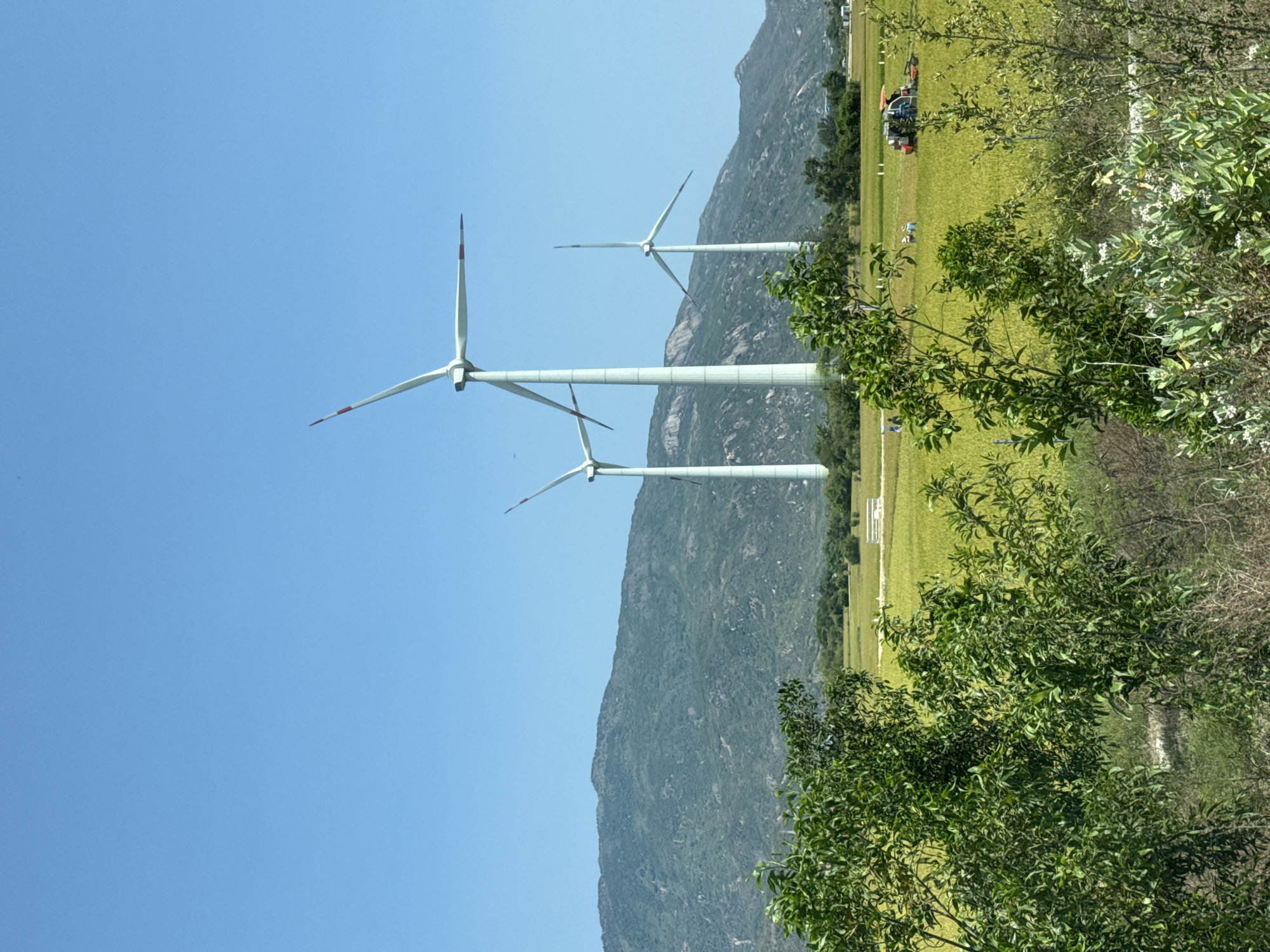 This landscape photograph captures a modern wind farm nestled within a vast natural setting under a clear, bright blue sky. Three large wind turbines dominate the left and center of the frame, their tall white towers and blades, featuring distinctive red tips, stand prominently against the mountainous backdrop.
The scene unfolds with a range of rugged, green-covered mountains stretching across the mid-ground, providing a dramatic natural boundary. In front of and to the right of these mountains lies an expansive, verdant green field. Within this field, a tractor or similar utility vehicle with an orange canopy is visible in the distance, alongside several small figures, likely people, engaged in activity or present in the open space. The foreground on the right side is filled with lush green trees and shrubs, some adorned with small white flowers, partially framing the view.
The image depicts a bright, sunny day, indicated by the vibrant blue sky and strong, even illumination, with no visible clouds or long shadows. The setting combines renewable energy infrastructure with a serene natural environment, characteristic of an open, mountainous region like Thuan Bac, Vietnam. No discernible text is visible within the image.