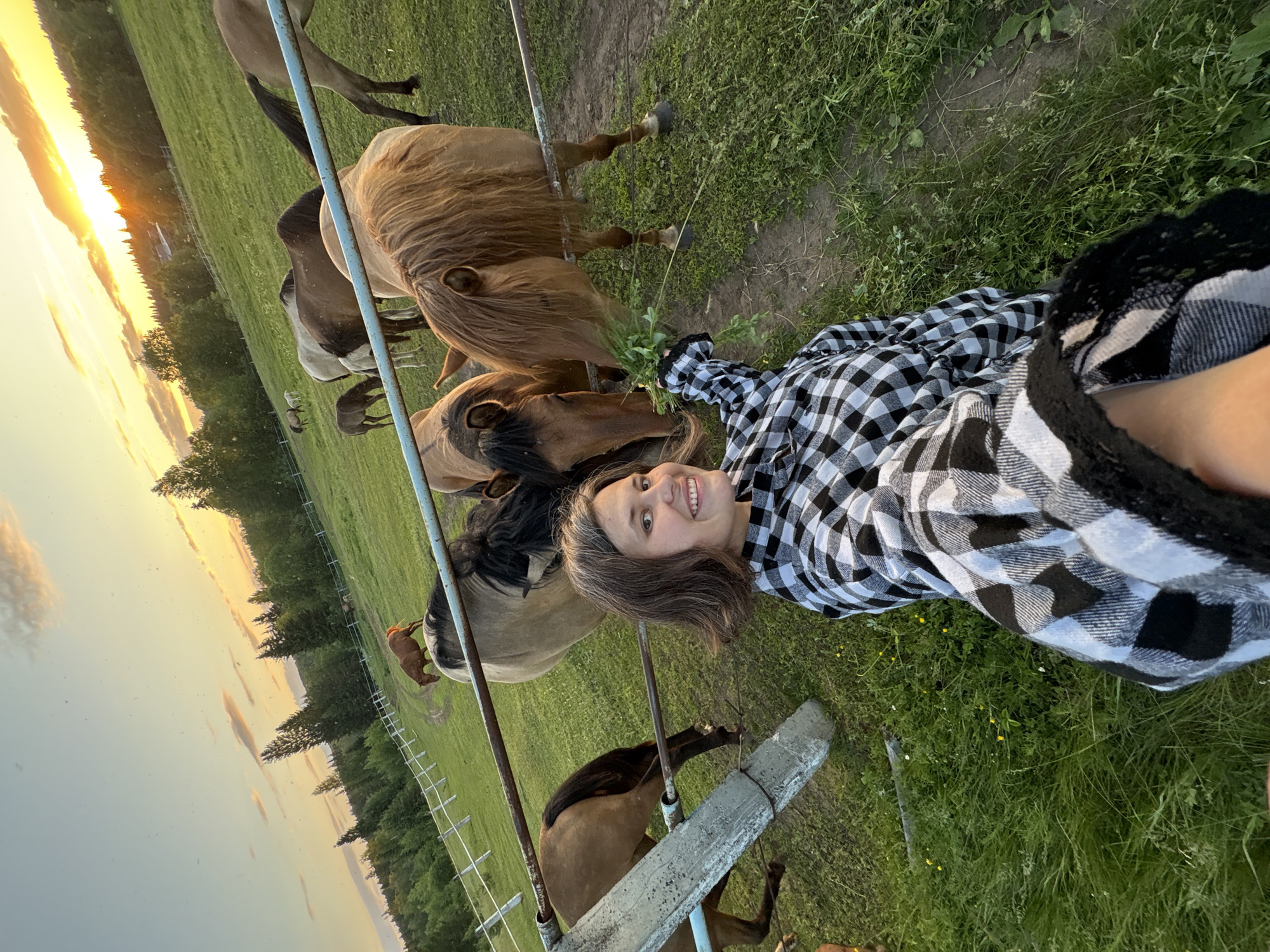 A young woman is taking a selfie in a field with several horses. She is wearing a black and white checkered shirt and smiling at the camera while offering a bunch of greens to a horse. The horse is reaching out to eat the greens from her hand. There are multiple other horses in the background, some grazing and others standing around. The scene appears to be at sunset, with the sky displaying hues of orange and yellow. The field is grassy and surrounded by trees in the distance. A fence runs through the scene, separating the woman and some of the horses from the rest of the field.
