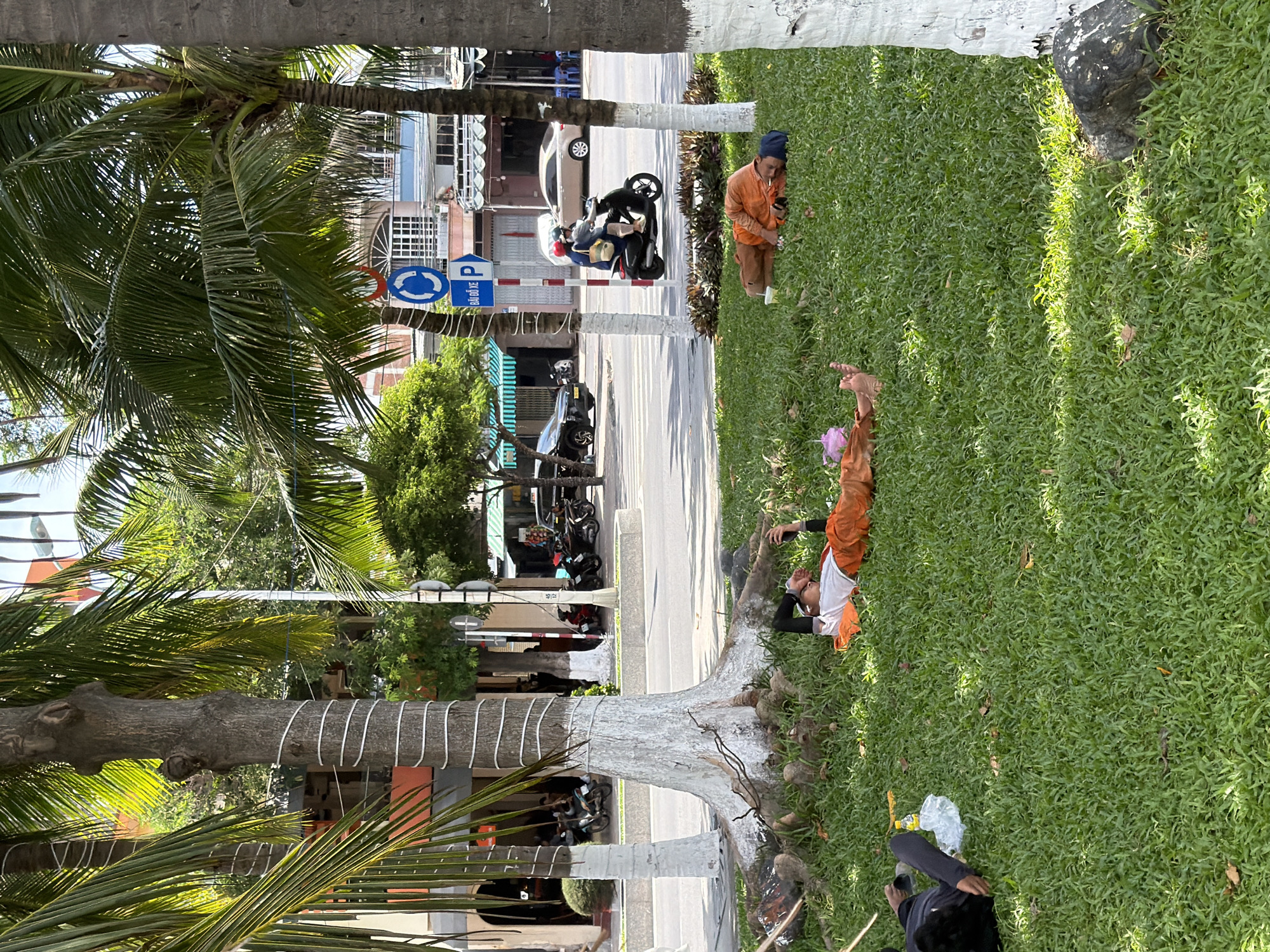 In Nha Trang Ward, Vietnam, three individuals are observed resting on a grassy area adjacent to a paved street. Two of the individuals are lying down, facing away from the viewer, with one person on their right side and the other on their left. The third individual is lying on their back, with their head propped up and their hands near their face, holding a mobile phone.
The environment consists of a well-maintained lawn with scattered leaves and a prominent palm tree with white-painted bark. In the background, a street is visible with vehicular traffic, including a scooter with two passengers and a car. Buildings with awnings line the street, suggesting a commercial or residential area. The lighting indicates it is daytime, with dappled sunlight falling on the grass.