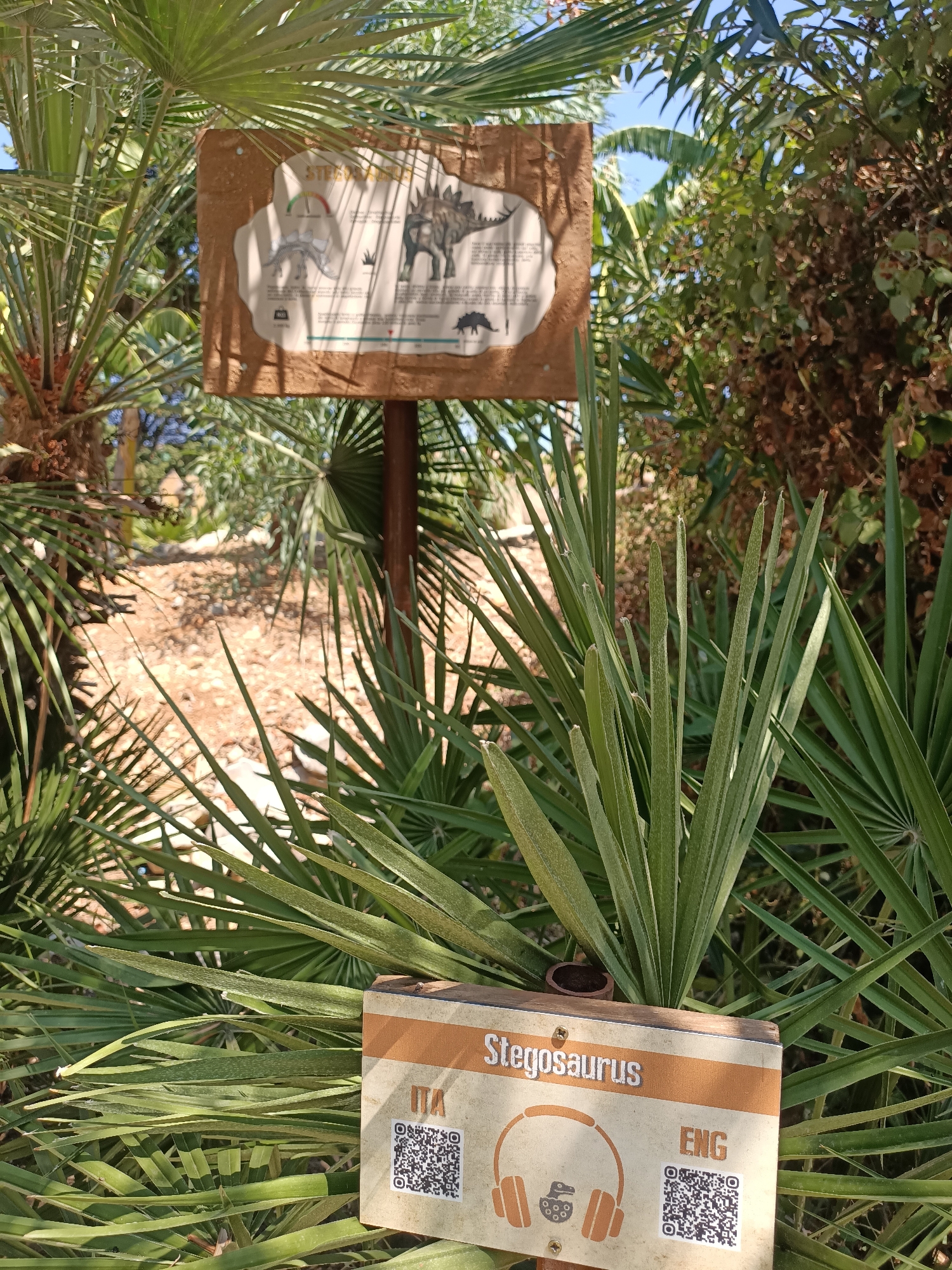 This image captures an outdoor exhibit, likely in a park or garden, featuring information about dinosaurs. In the foreground, a low sign displays the text "Stegosaurus" in Italian ("ITA") and English ("ENG"), accompanied by icons of headphones and a dinosaur head. QR codes are present on the sign, suggesting interactive content. Behind this sign, a larger informational board with illustrations of a Stegosaurus and skeletal diagrams is mounted on a wooden post. The background is filled with lush green palm fronds and other foliage, indicating a warm, possibly Mediterranean climate. Sunlight filters through the leaves, creating dappled shadows on the ground, which appears to be covered in gravel and dirt. The overall setting suggests a nature-themed educational display. The presence of palm trees and the general arid appearance of the ground are consistent with locations in Sicily, Italy, such as Carini, which is known for its pleasant climate and botanical attractions. There are no people visible in the image.