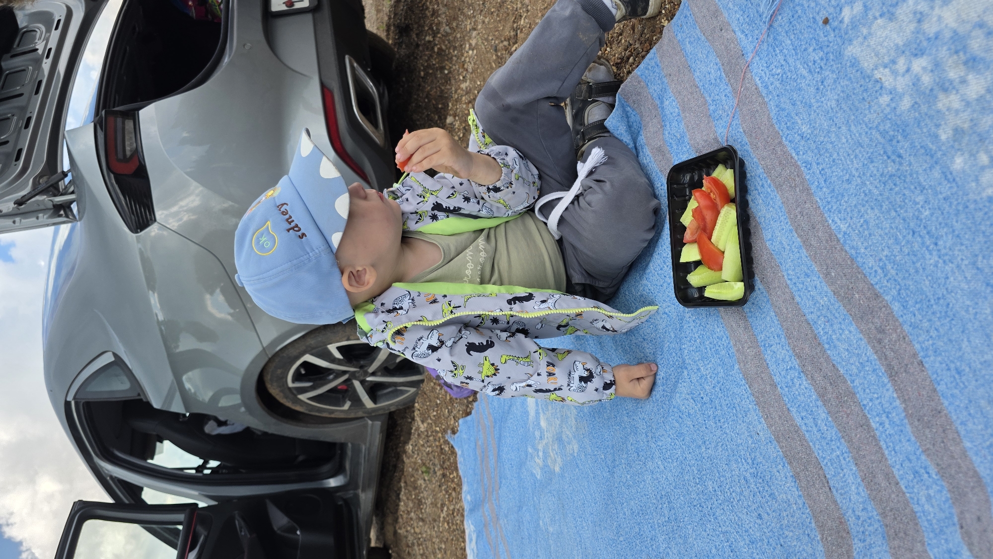 A young boy, wearing a blue cap, a grey jacket with a dinosaur print, and grey pants, sits on a blue and grey striped blanket. He is eating a piece of tomato. In front of him is a black plastic container holding sliced cucumbers and tomatoes. Behind him, a grey car is parked with its doors and trunk open. The car appears to be a sedan. The ground is covered with gravel and dirt. The sky is overcast. The scene is taking place in a natural outdoor setting, likely on the outskirts of the city of Daryino, Russia.