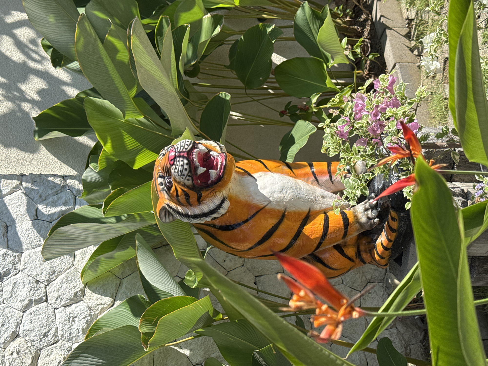 A statue of a tiger is positioned on a stone wall in Denpasar, Indonesia. The tiger is orange with black stripes and a white belly. The statue is surrounded by lush green foliage, including large-leafed plants and flowering shrubs with pink and red blossoms. The stone wall is light gray and composed of irregularly shaped stones. Sunlight filters through the leaves, casting shadows on the wall.