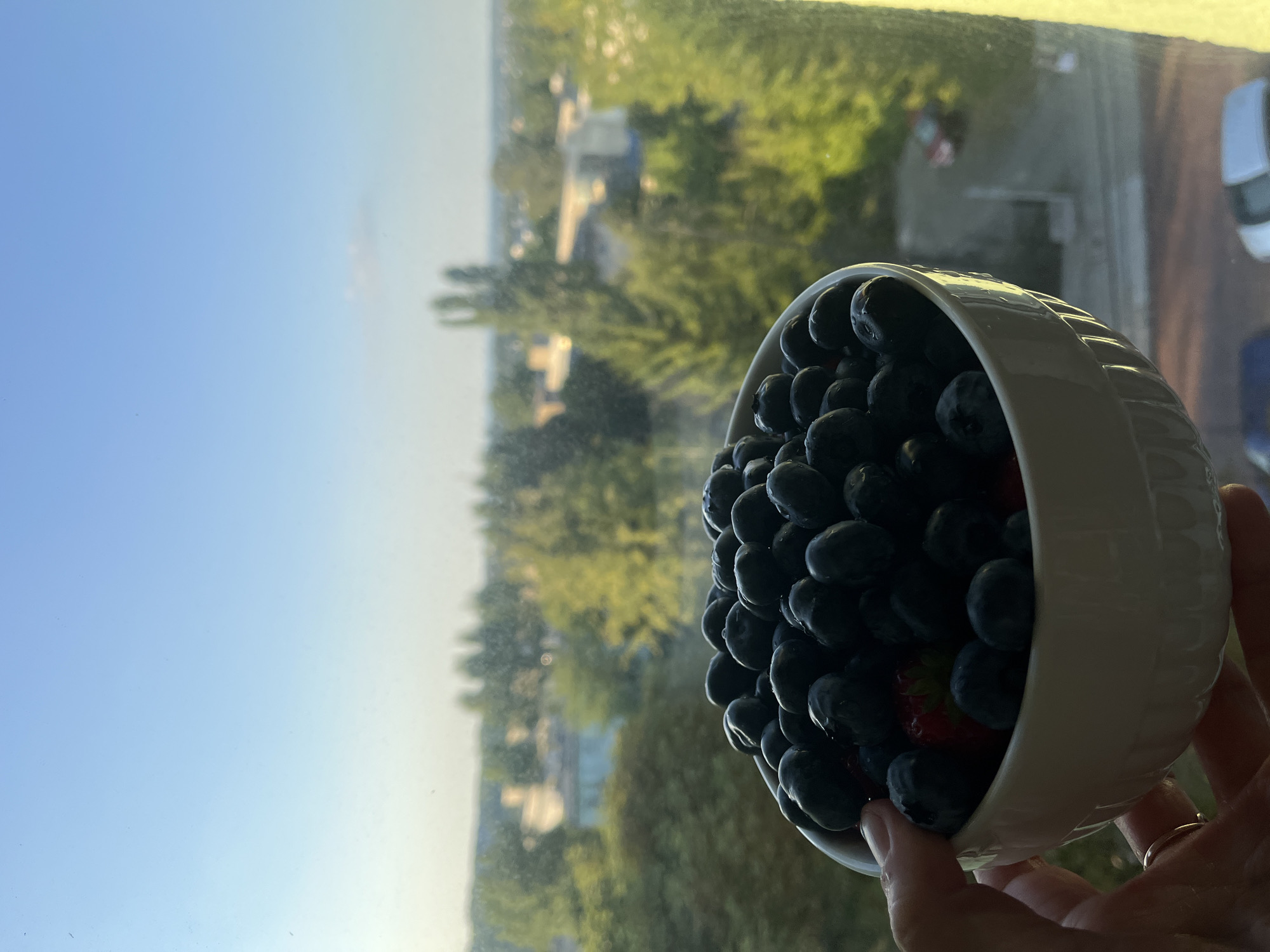 A hand holds a white bowl filled with blueberries and a few strawberries. The bowl is in the foreground, positioned in front of a window. Through the window, a blurred view of trees, buildings, and a street with cars is visible. The sky above is a clear, pale blue. The scene appears to be outdoors, or at least a room with a large window offering a view of the outside environment. The lighting suggests it may be daytime, possibly late afternoon or early morning due to the soft light. The location is specified as Unknown, Unknown.