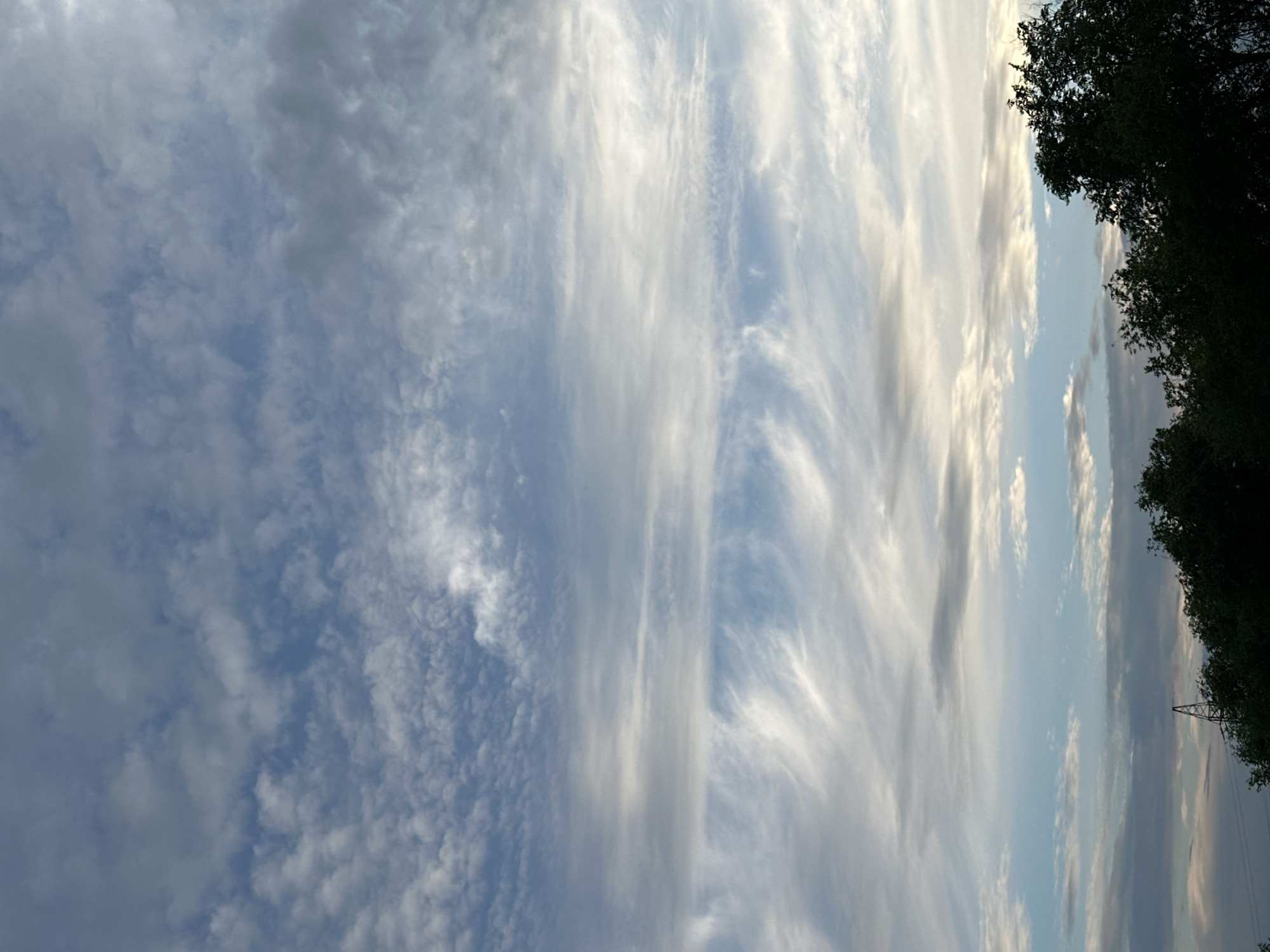 This is a vertical, low-angle shot of the sky, filled with a variety of clouds. The sky is a pale blue, with wispy, cirrus clouds stretching across the frame. Some areas of the sky are more overcast with denser, grayer clouds. In the far right of the image, the dark silhouette of trees with dense foliage borders the sky. A tall, lattice-like electrical tower is visible in the distance, peeking through the trees. The lighting suggests it is either early morning or late afternoon, as the sun is not directly visible but its light filters through the clouds, creating some brighter, yellowish hues. There are no people or discernible objects other than the trees and the electrical tower. The overall mood is serene and contemplative, with the vastness of the sky and the natural elements evoking a sense of peace.