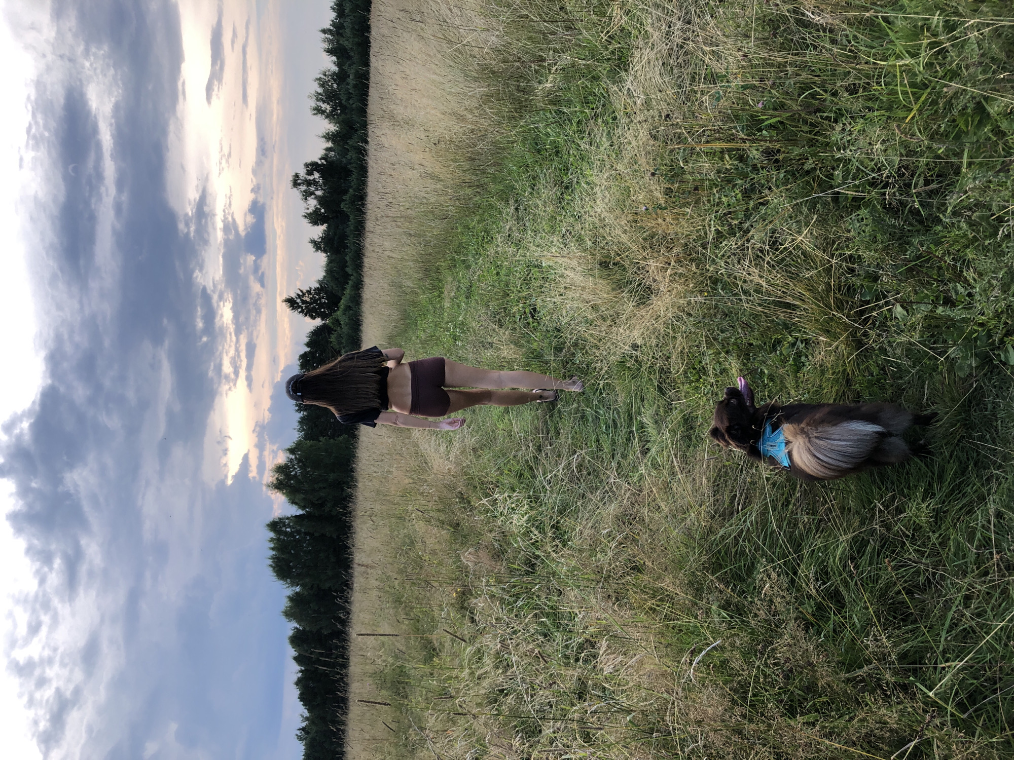 A person wearing a dark crop top and brown shorts walks away from the camera on a dirt path through a tall, dry grass field. They have long, dark hair and are wearing a dark baseball cap. A small, brown dog with a light-colored tail, wearing a blue harness, walks on the path behind the person. In the background, a line of dark green trees borders the field under a cloudy, twilight sky with streaks of pink and orange light visible near the horizon. The scene appears to be in a rural or undeveloped area, possibly on the outskirts of Makeikha, Russia.