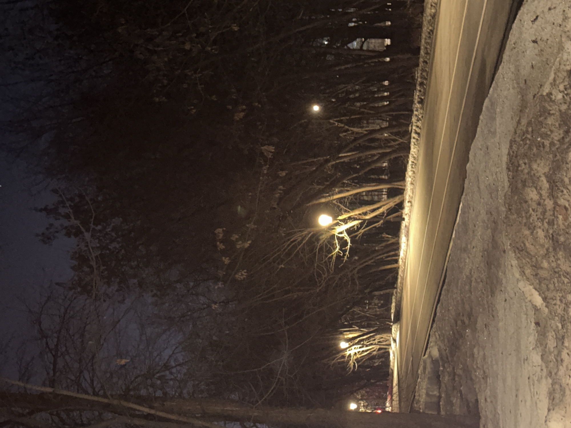 The image shows a street in Moscow, Russia at night. The road is paved and lined with trees on both sides. Streetlights are visible along the road, illuminating the street and the trees. There is snow on the ground next to the road. The overall scene is dark.