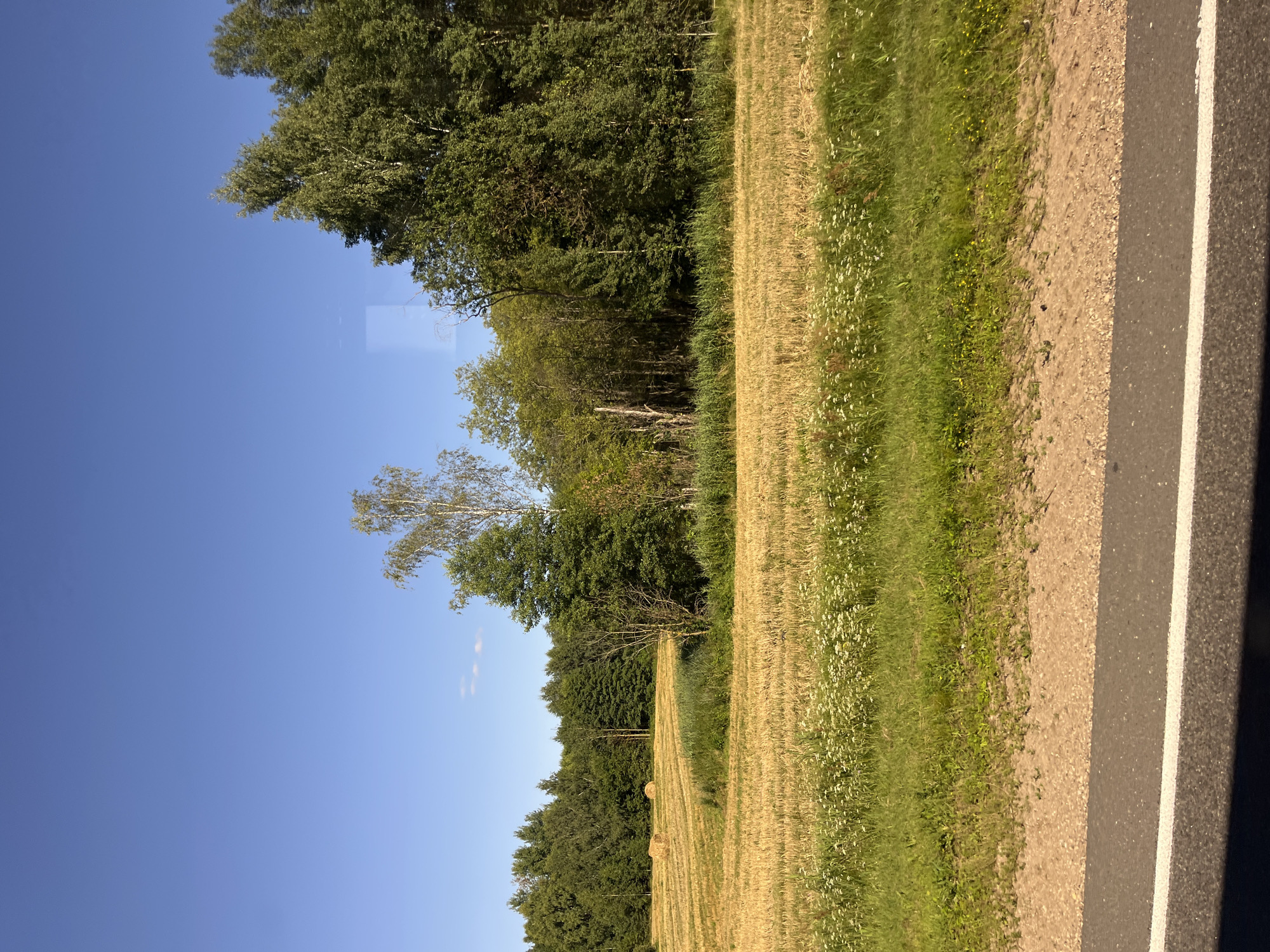The image depicts a rural landscape on a clear day, likely in or near Мядзельскі сельскі Савет, Belarus. In the foreground, a paved road with a white line runs horizontally across the bottom of the frame. Adjacent to the road is a strip of sandy soil, followed by a grassy area with small white and yellow wildflowers. Beyond the grass, a field of cut grain, appearing golden yellow, stretches into the middle ground. Two round hay bales are visible in the distance on this field. A dense line of green trees forms the background, with various deciduous and coniferous species present. The sky above is a clear, bright blue with no clouds. The overall impression is one of agricultural land under a sunny sky.