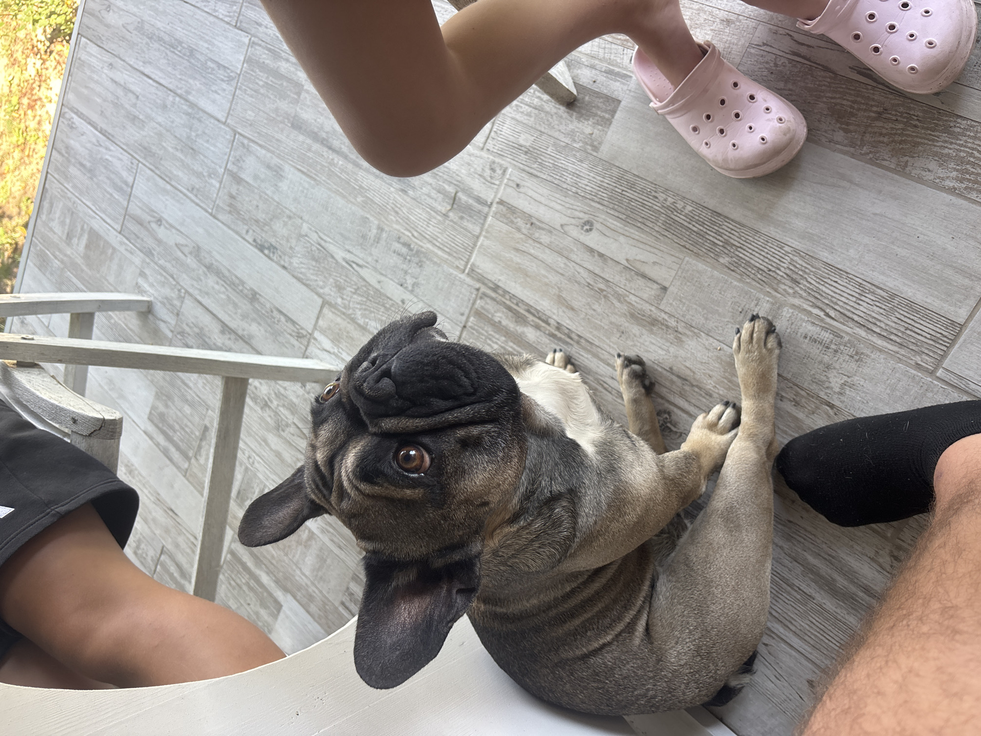 A fawn-colored French Bulldog with dark facial markings sits on a light-colored wooden plank floor. The dog is positioned towards the left side of the frame, leaning against a white structure. Its gaze is directed upwards and to the right. The floorboards are laid horizontally in the foreground and diagonally in the background. To the right of the dog, a child's legs are visible, wearing pink Crocs. Another person's legs, clad in black socks, are visible in the lower left corner of the frame. The environment appears to be outdoors, possibly a patio or balcony, with glimpses of greenery in the background. The image does not contain specific landmarks to place it in Marten, Bulgaria.