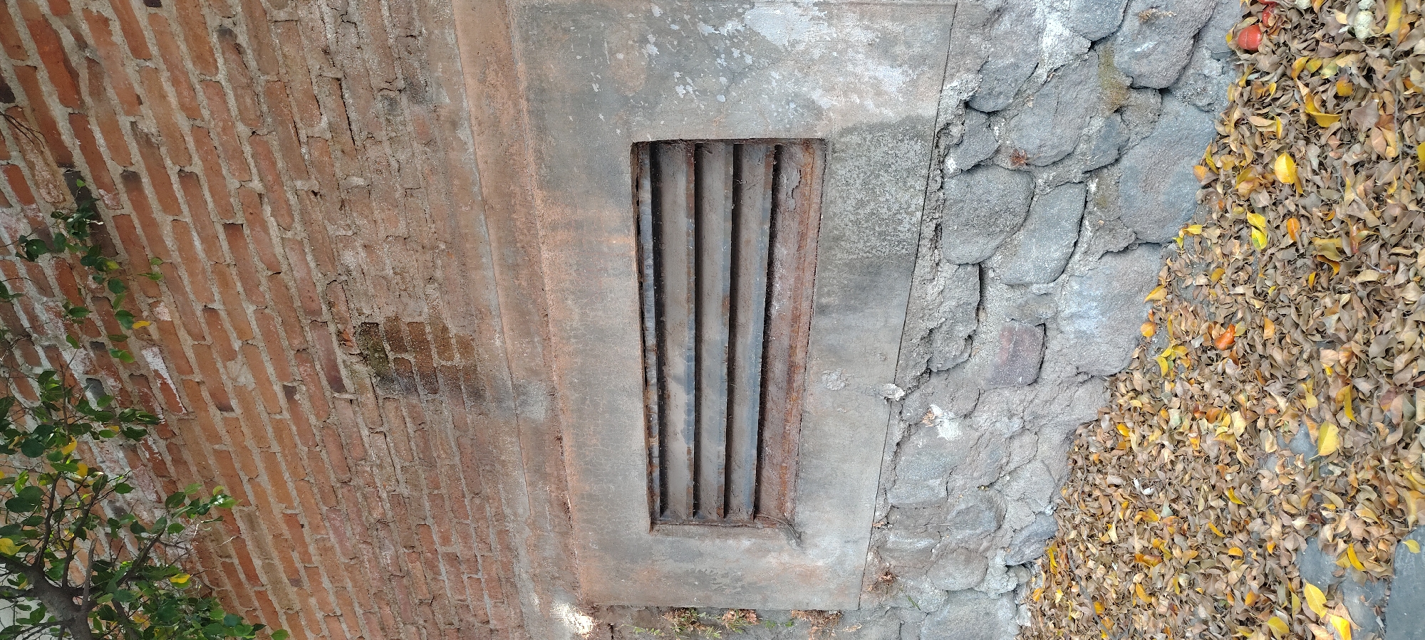A ground-level view oriented sideways shows a rectangular metal grate set into a concrete frame in Tres de Mayo, Mexico. To the left of the concrete is a brick wall with moss growth, and to the right is a stone wall bordered by a thick layer of fallen leaves. A small green tree is at the lower-left corner of the image. The grate's bars run vertically within the frame.