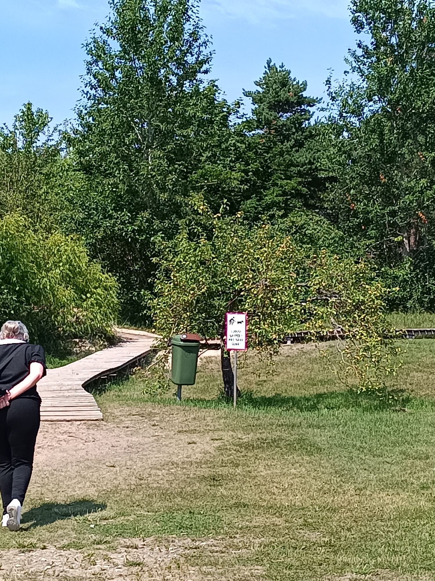 The image depicts a woman walking away from the camera on a sandy path next to a wooden boardwalk in Pāvilosta, Latvia. She is wearing black pants, a black shirt with a white collar, and white shoes. To her right, there is a green trash can and a sign with a pink border featuring symbols of a person walking a dog and a "no littering" symbol, along with text in Latvian. The area is surrounded by lush green trees and vegetation under a clear blue sky, suggesting a natural or park-like setting.