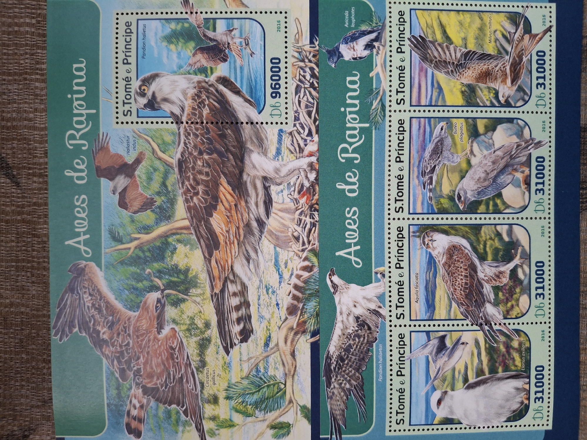 The image shows two sheets of stamps titled "Aves de Rapina" from S.Tomé e Príncipe. The stamps feature illustrations of various birds of prey, with their Latin names printed on each stamp (e.g., "Pandion haliaetus," "Haliastur indus," "Circaetus gallicus," "Aviceda leuphotes," "Aquila fasciata," "Elanus axillaris," "Buteo plagiatus," "Milvus milvus"). Each stamp also includes the year "2016" and the value "Db 31000" or "Db 96000" (likely Dobras, the currency of São Tomé and Príncipe). The stamps are printed on light green and dark blue sheets with dotted borders.