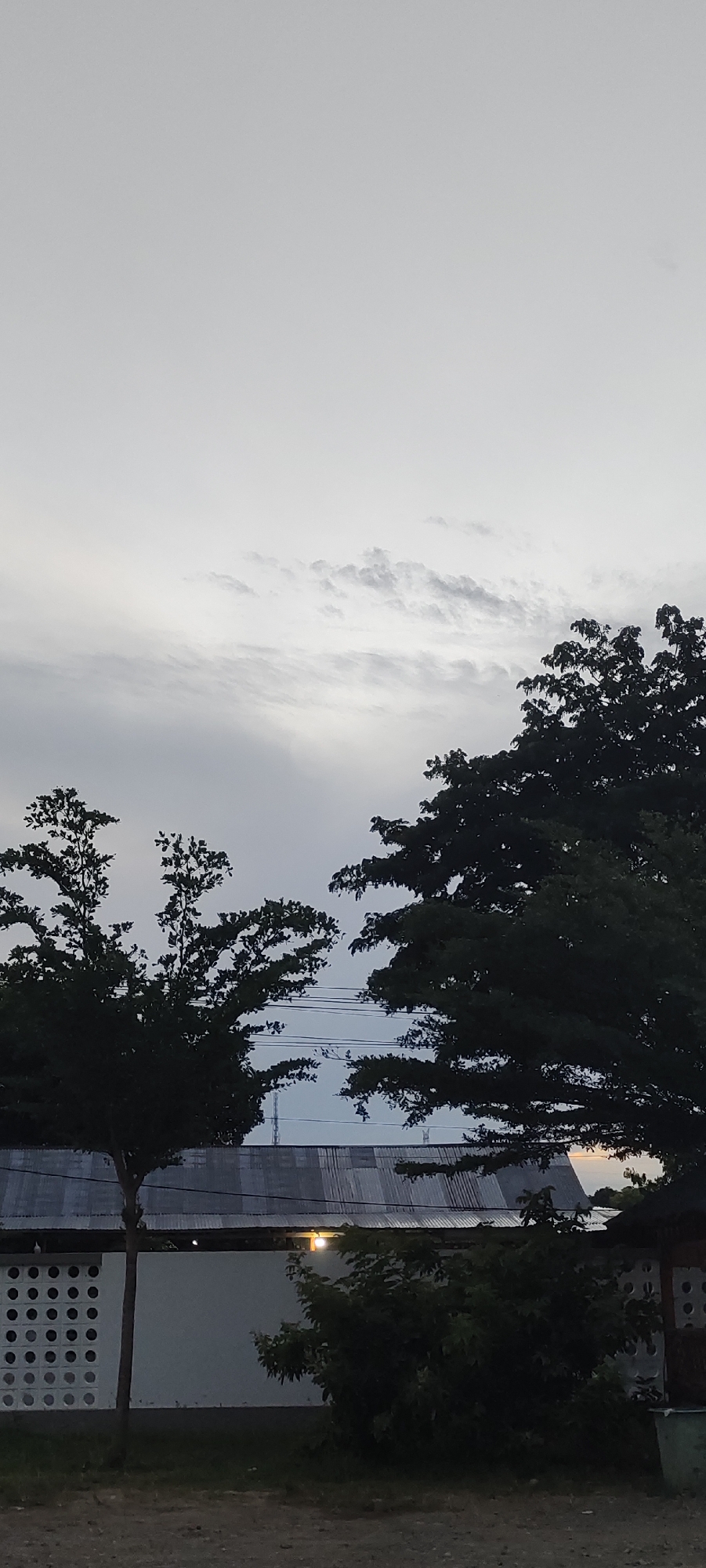 The image depicts a rural scene in Reuhattuha, Indonesia, under a cloudy sky. Two large, dark green trees dominate the foreground, their branches reaching towards the sky. One tree is on the left side of the frame, while the other is on the right, partially obscuring a building behind it. The building features a corrugated metal roof and a white wall with circular decorative openings. A small bush is visible in front of the white wall. The ground in front of the building appears to be unpaved. The overall lighting suggests it may be late afternoon or early morning. There are no people or animals visible in the image.