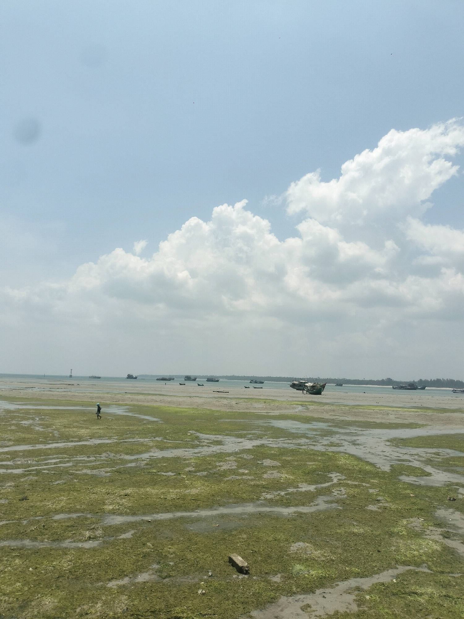 A wide-angle, slightly hazy, vertical shot captures a tidal area in Dobo, Indonesia, under a bright, cloudy sky. The foreground is dominated by wet, sandy ground covered in patches of green seaweed, with shallow water pooling in the depressions. A lone figure, wearing a blue shirt and dark pants, walks across the foreground from left to right. In the midground, several boats of various sizes are anchored or grounded on the exposed seabed. One boat, a larger vessel with a dark hull and a white superstructure, appears to be the most prominent in the center. Further in the background, a distant coastline is visible with trees lining the shore, and a tall, slender lighthouse stands on the left side. The sea is calm, and the overall scene suggests a low tide with the boats resting on the muddy, seaweed-covered flats.