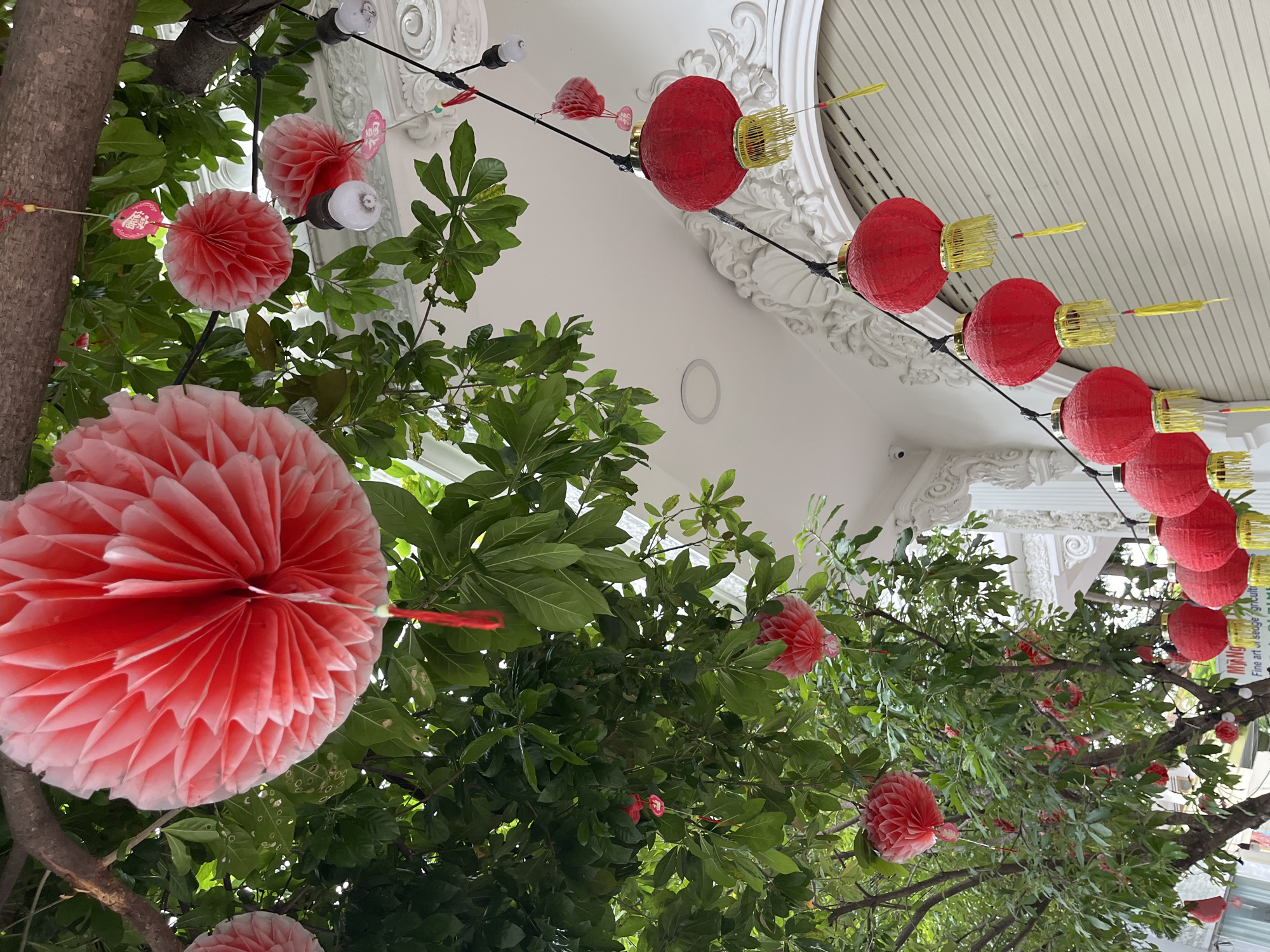 The image shows a street decorated with red lanterns and red honeycomb paper balls, hanging from tree branches and a string of lights. The decorations are predominantly red and appear to be for a festive occasion, possibly Lunar New Year. The background features a white building with decorative architectural elements and a closed roller shutter. In the lower left portion of the image, a street sign is partially visible, reading "My Ngan Fine art". The overall scene suggests an outdoor urban setting in Nha Trang, Vietnam.