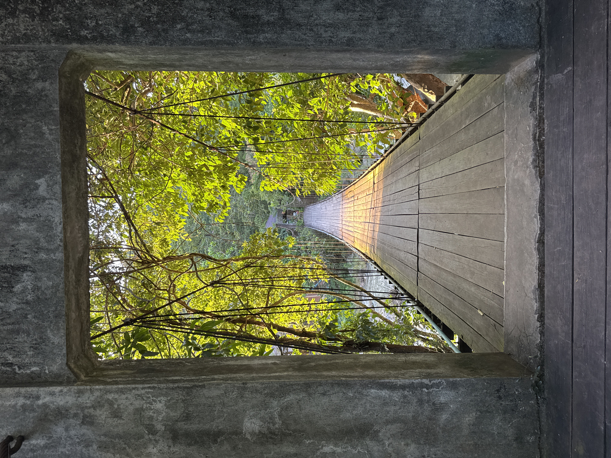 A wooden suspension bridge spans a river, seen through a concrete archway. The bridge is made of weathered wooden planks and is supported by cables. Lush green trees with bright sunlight filtering through their leaves line the sides of the bridge, creating a dappled effect on the wooden walkway. The river flows beneath the bridge, with hints of vegetation on the opposite bank. The scene is set in Ranong, Thailand, likely a natural attraction or park. There are no people visible in the image.