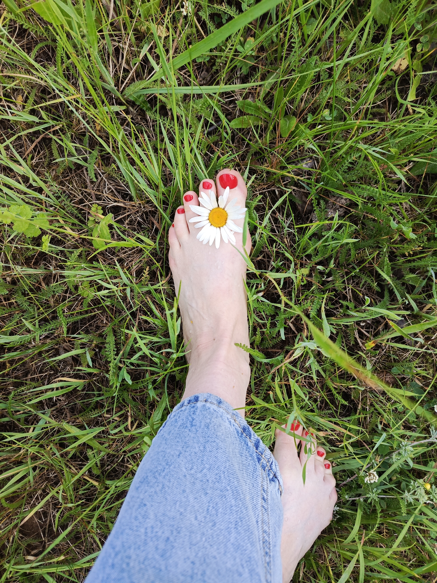 A pair of bare feet, painted with red nail polish, are positioned in a grassy area. One foot is positioned slightly higher and closer to the camera, with a daisy flower placed on top of the toes. The other foot is further down and to the side, with some of the leg visible, wearing blue denim jeans. The background is predominantly green grass with some dry leaves and soil visible. This image does not provide enough information to determine its specific location within the city of Chaikovsky, Russia, or any other location.