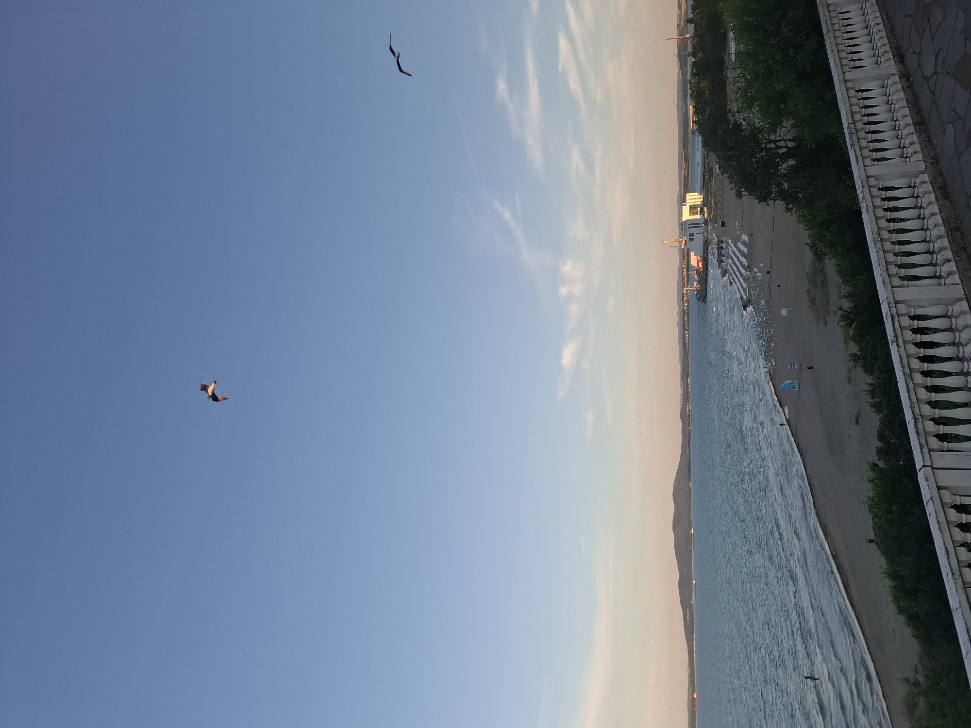 A panoramic view of a beach and sea is captured from a slightly elevated position, with a balustrade in the foreground. The sky is a clear, pale blue, with faint wisps of clouds near the horizon where it transitions to a soft, warm hue. Two seagulls are in flight against the sky. The sea is a calm, turquoise color, with gentle waves lapping at the sandy shore. A wide, uncrowded beach stretches along the coastline, lined with rows of white umbrellas and lounge chairs, indicating it is likely a resort area or public beach. In the distance, across the water, a hilly coastline is visible, dotted with some industrial structures and ships. Closer to the shore, a modern white building with a red roof and cranes nearby suggests a port or industrial facility. Lush green trees and bushes border the beach and extend inland. The overall atmosphere is peaceful and serene, suggesting a late afternoon or early evening scene.