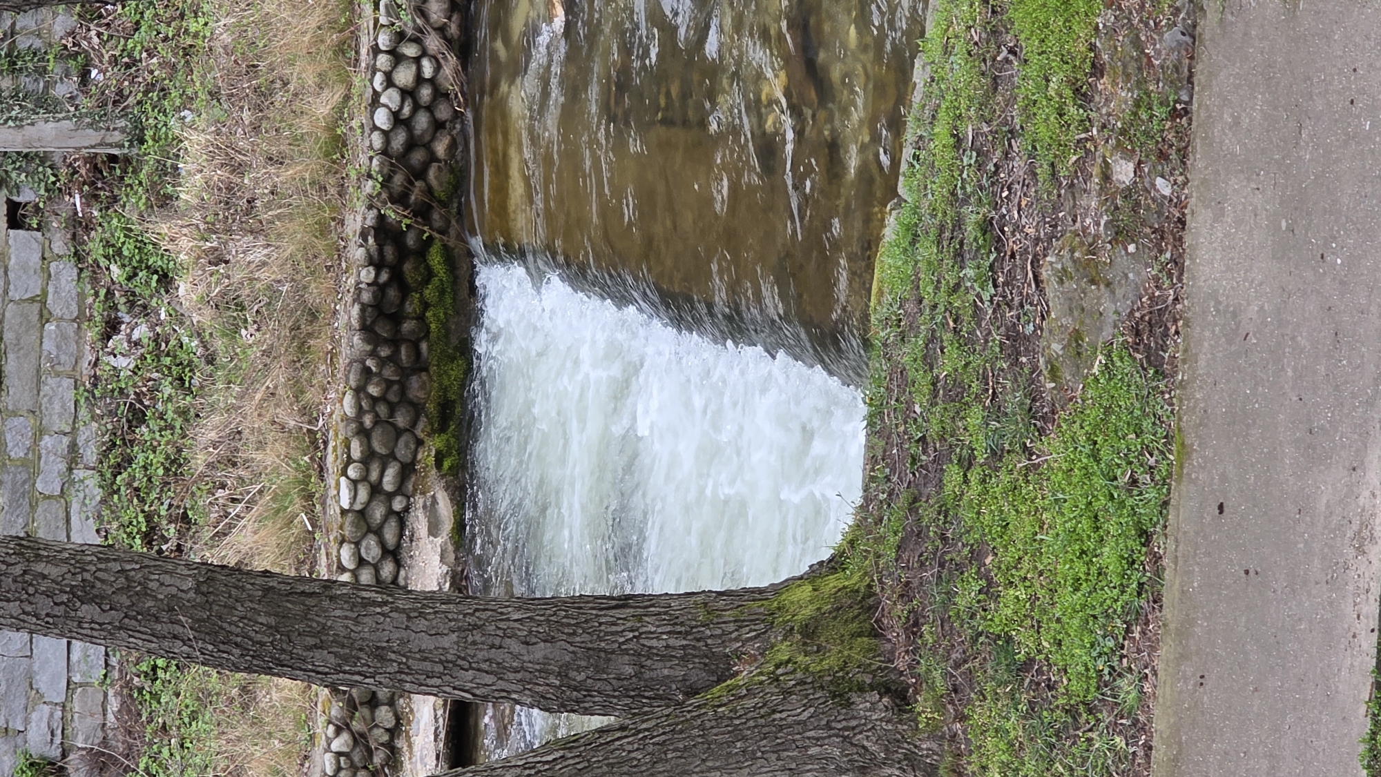The image depicts a small waterfall within an urban or suburban environment. A waterway flows over a constructed ledge, creating the waterfall effect. The water upstream of the fall is relatively clear with a brownish tint, while the falling water appears white due to the aeration and movement. The waterway is bordered on one side by a wall of rounded stones and on the other by a grassy embankment leading up to a concrete surface. A tree trunk with visible bark and some moss growth is positioned in the foreground. The image may be taken near Blagoevgrad, Bulgaria.