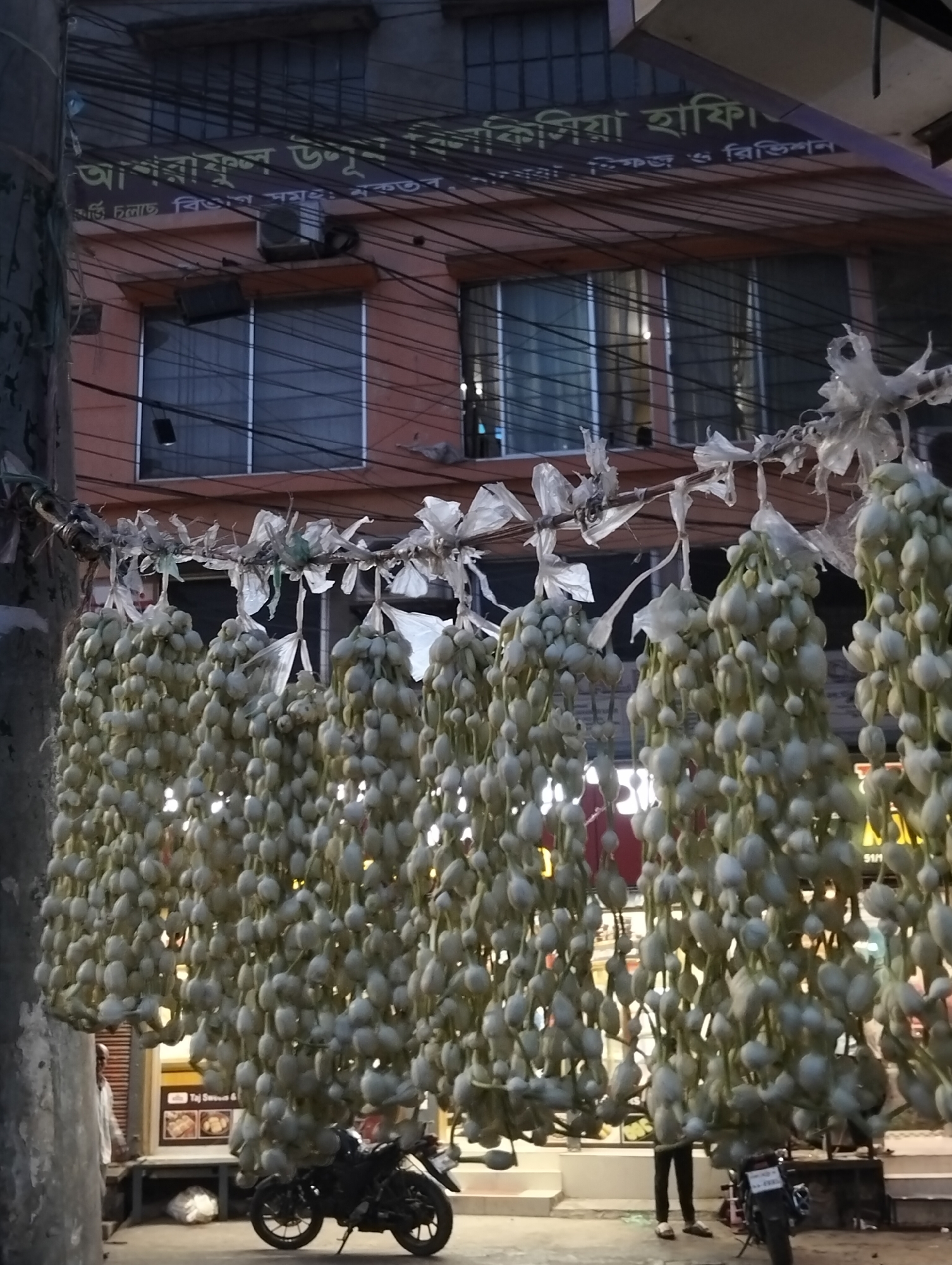 An urban street scene captures a vibrant display of numerous strings of unblossomed white flowers, likely jasmine buds, hanging vertically from a horizontal wire across the street. Each string is secured with small pieces of plastic. The hanging flowers dominate the foreground and midground, partially obscuring the activity behind them.
In the background, a multi-story building with orange-colored walls and dark-framed windows is visible. An air conditioning unit is mounted on the building's facade. A blue sign with Bengali text is prominently displayed on the building, reading: "আশরাফুল উলুন বিলকিসিয়া হাফি।" (Ashraful Ulun Bilkisiyah Hafi.) and "করি চলছে বিশুপ সমৎ: মকতব হিফজ ও রিভিশন" (Kori cholche Bisup Somot: Moktob Hifz O Revision), indicating an educational or religious institution.
Numerous overhead electrical and utility wires crisscross the frame, typical of many urban areas. On the ground level, a dark-colored motorcycle is parked on the left, and another partial motorcycle is visible on the right. A person in dark pants and light sandals stands partially obscured by the flowers on the right, while another person in a light shirt is faintly visible in the far left background. A shop sign in the background shows "Taj Sw" and the address "51/1". The light suggests it is late afternoon or early evening.