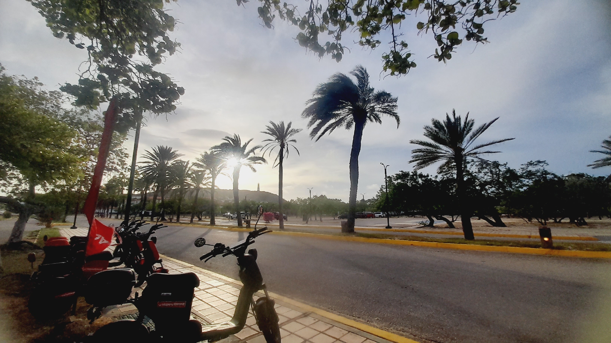 The image depicts a street scene in Pedro González, Venezuela, with a focus on several parked electric scooters and motorcycles in the foreground. The vehicles are lined up along a sidewalk bordered by a road. Palm trees and other lush vegetation line the street, characteristic of a tropical or sub-tropical urban environment. The sun is low in the sky, casting long shadows and creating a warm, soft light, suggesting it is either early morning or late afternoon. A red flag with a logo is attached to a pole near the scooters, possibly indicating a rental service or a local business. The road has a yellow curb and appears to be paved. In the background, more trees and buildings are visible, along with a distant hill. The sky is partly cloudy, with some areas of clear blue. The overall atmosphere is tranquil and serene.