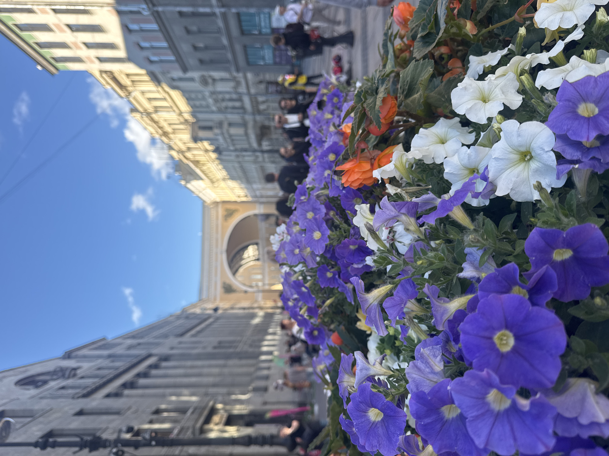 A low-angle, close-up shot focuses on a flowerbed filled with vibrant purple and white petunias, along with some orange flowers. In the background, blurred figures of people are visible, suggesting a public space or a street. The architecture of buildings lining a wide avenue is partially visible, with classic facades and an archway in the distance. The scene is set in Saint Petersburg, Russia, likely on a clear day given the blue sky and dappled sunlight. The overall impression is of an urban landscape adorned with floral decorations.