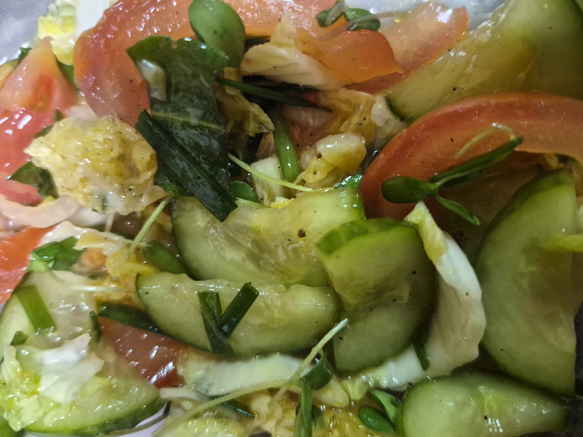 A close-up image depicts a salad. The salad consists of sliced cucumbers, tomatoes, lettuce, and herbs, possibly sprouts or chives, dressed with a dressing or sauce. The ingredients are mixed together. The location and city are not discernable.