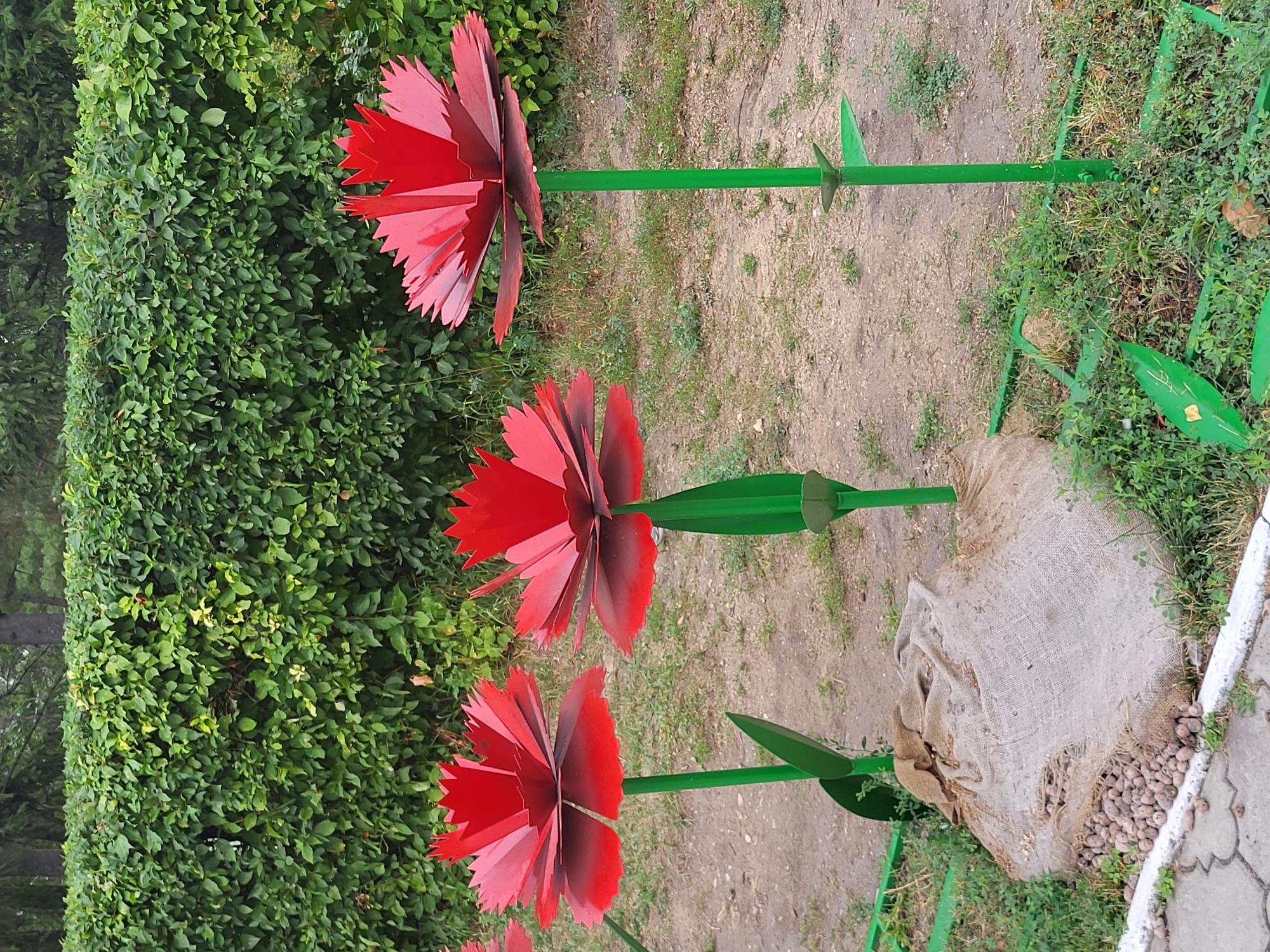 Three red metal flowers on green stalks are planted in a garden bed in front of a green hedge. The flowers are artificial and appear to be decorative. In the foreground, there is a burlap sack filled with nuts and some scattered nuts. A paved path is visible to the left of the garden bed. The background shows a dense green hedge and trees. The scene is outdoors and appears to be during the daytime. The location is identified as Petropavl, Kazakhstan. There are no people visible in the image.