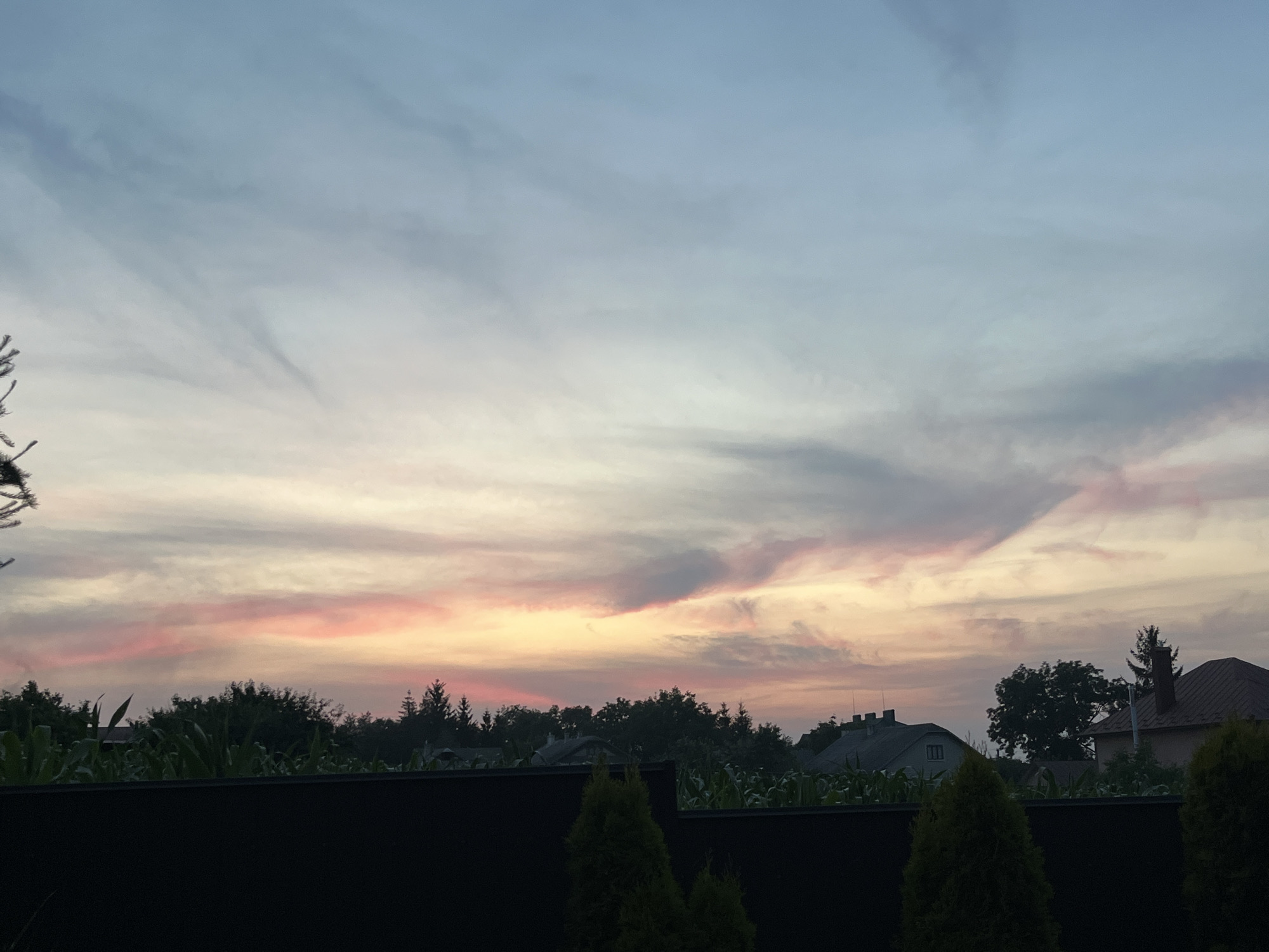 This media file captures a serene sunset scene in Koroviia, Ukraine. The sky is a canvas of soft pastels, with streaks of pink, orange, and pale blue clouds stretching across the horizon. The time of day is clearly evening, as indicated by the sunset colors and the fading light.
The foreground is dominated by a dark, horizontal fence, behind which lies a lush green landscape. A row of dark green trees and some corn stalks are visible, suggesting a rural or semi-rural setting. Several houses with dark roofs are nestled amongst the trees, indicating a residential area. The architecture of the houses appears to be typical of Eastern Europe.
In the foreground, to the right of the frame, two conical evergreen trees stand tall, adding depth to the scene. A branch of a coniferous tree is also visible on the far left, partially obscuring the sky. The overall mood is peaceful and tranquil, evoking a sense of calm as the day draws to a close. There is no visible text in the media file. The weather appears to be clear with some cloud cover, typical for a sunset. The location cues like the architecture and vegetation point to a European setting, specifically Ukraine.