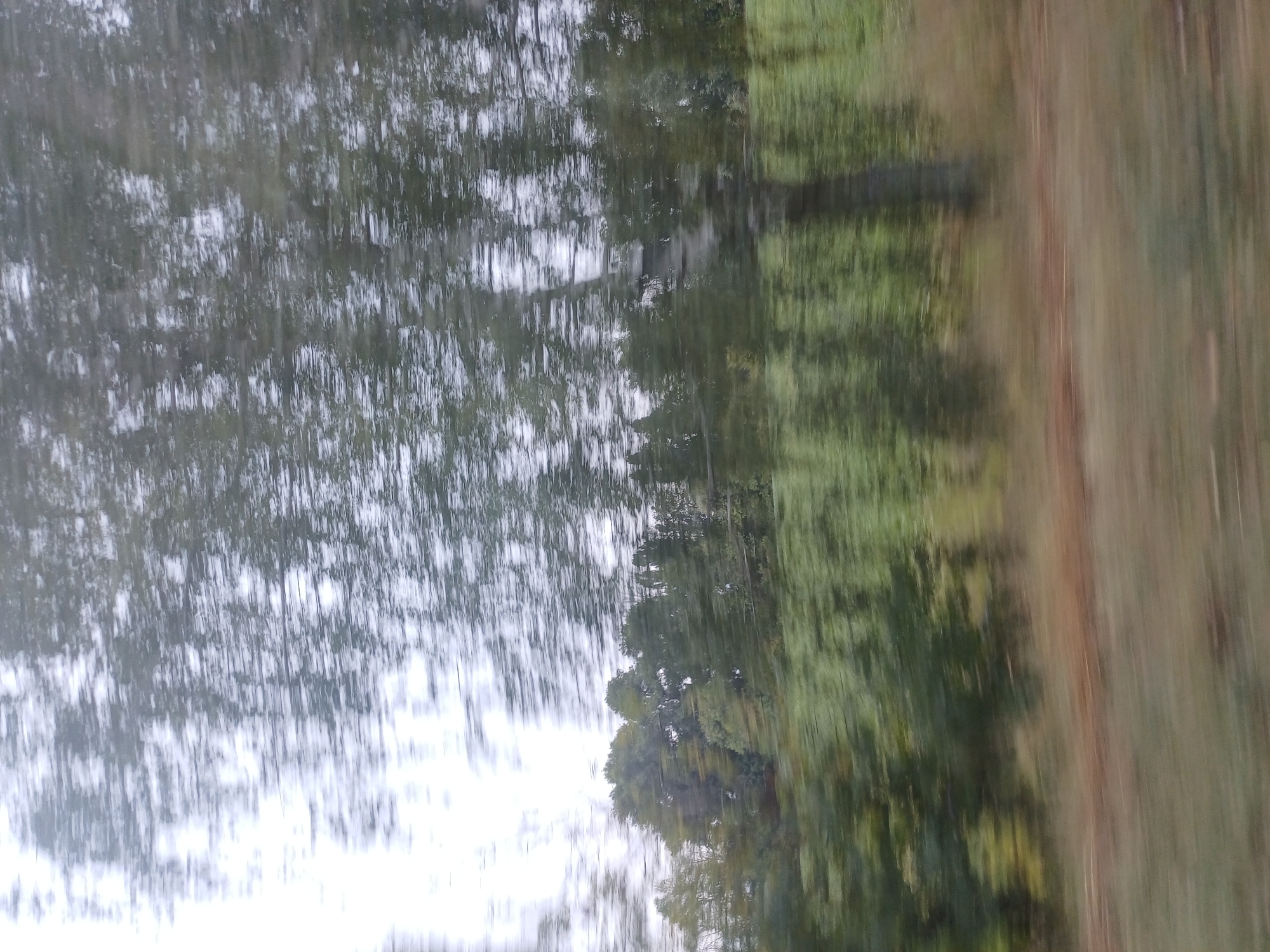 The image depicts a blurry, motion-streaked view of a landscape. The upper portion of the image is dominated by the blurred shapes of trees and sky, creating a pattern of light and dark streaks. Below this, a band of green represents a field or dense foliage, also blurred by motion. Further down, there are horizontal streaks of brown and green, suggesting a ground surface or vegetation. The overall impression is that the photograph was taken from a moving vehicle, possibly a train or car, looking out at a rural or semi-rural environment. The location in Artemivka, Ukraine, suggests it might be a view from a road or railway line in that area.