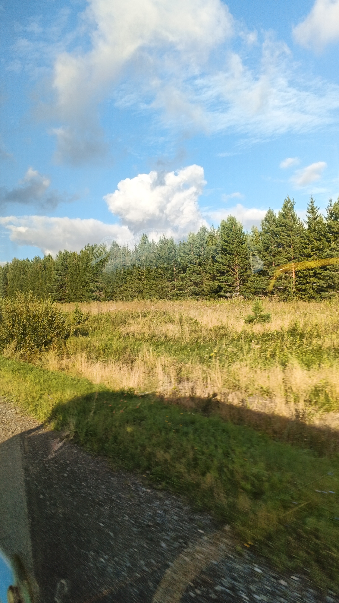 The image depicts a pastoral landscape under a partly cloudy blue sky, suggestive of a rural setting. In the foreground, a gravel road is visible, with a shadow cast across it from an unseen object. The road curves to the left and leads into a field of tall, dry grass and scattered green vegetation. A dense line of evergreen trees forms the horizon, with a thick, bushy green shrub in the left midground. The sky features scattered white and gray clouds, with one large, distinct white cloud formation prominent in the upper center. The overall impression is one of natural scenery, likely captured during daylight hours. The image is not specific enough to determine a precise location within Buranovo, Russia, as it lacks distinct landmarks or identifying features.