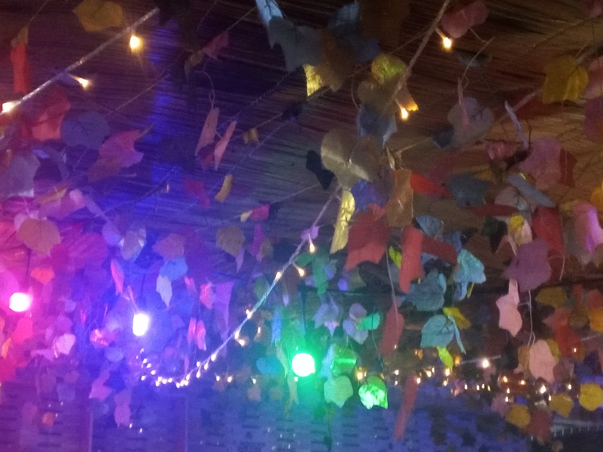 The image depicts an interior space decorated with artificial leaves of various colors (pink, blue, red, yellow, purple, green) hanging from the ceiling alongside strings of small, warm-toned lights. A brighter, colored light (pink, green, blue) is also present. The ceiling appears to be made of a woven material. The image is somewhat blurry and the exact location in the city of Unknown, Unknown is not discernible.