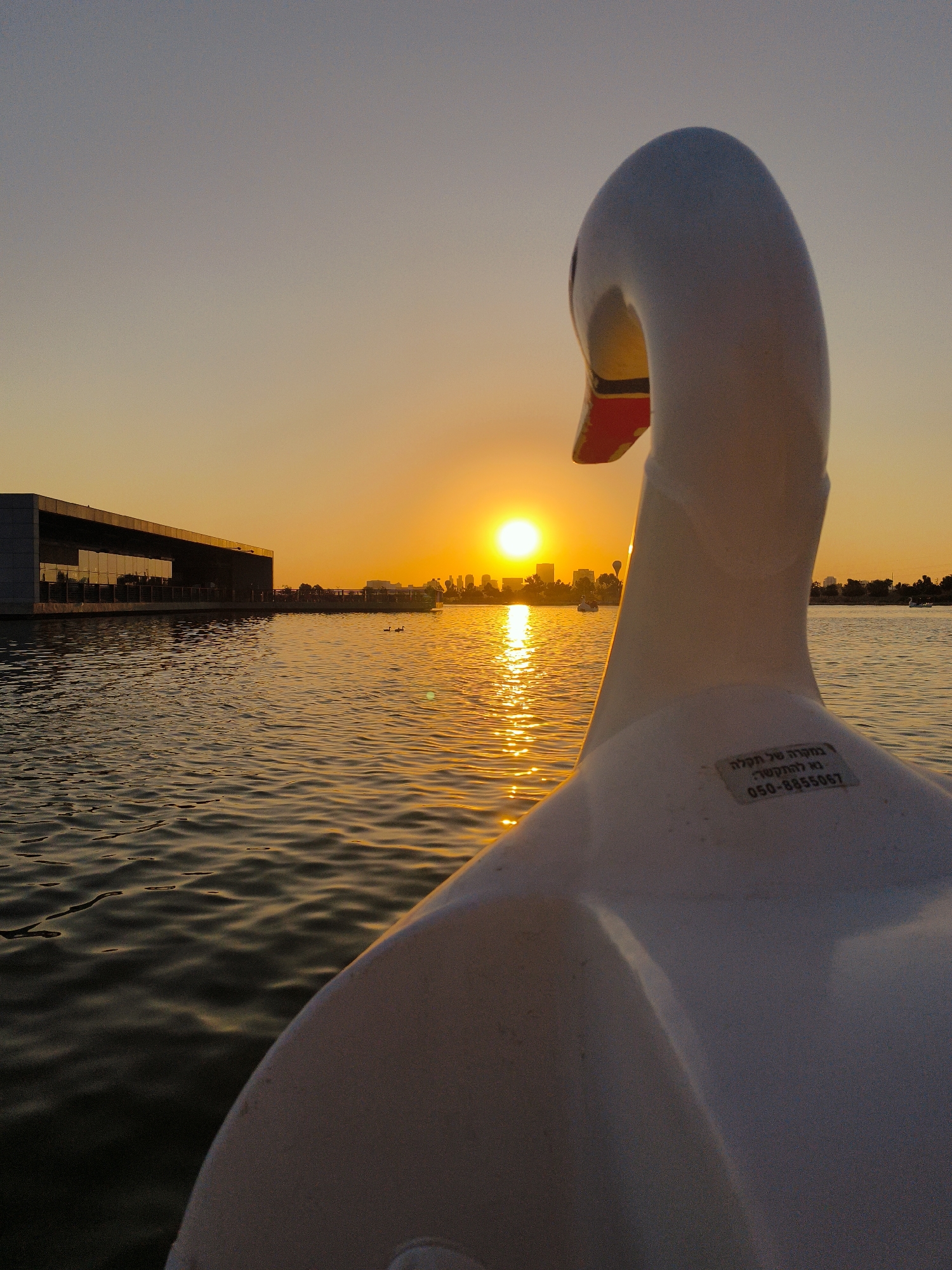 The image captures a serene sunset over the lake in Be'er Sheva, Israel. In the foreground, the back of a white swan-shaped paddle boat is visible, its curved neck and head dominating the right side of the frame. The boat's white plastic surface shows some scuff marks and a small sticker with Hebrew writing and a phone number.
The lake's surface is rippled, reflecting the warm orange and yellow hues of the setting sun. In the middle ground, several other paddle boats, including at least one other swan-shaped boat and a few smaller circular boats, are scattered across the water. Distant figures can be seen in some of these boats.
On the left side of the lake, a modern, rectangular building with large glass windows stands out against the twilight sky. A railing or boardwalk runs along the edge of the building's water-facing side. Beyond the building and across the water, the silhouette of the Be'er Sheva skyline is visible, with buildings and trees defining the horizon. The sun, a bright orb, is low in the sky, casting a golden glow that stretches across the water. The sky transitions from a warm orange near the horizon to a muted gray at the top of the frame. The overall impression is one of tranquility and the peaceful end of a day.