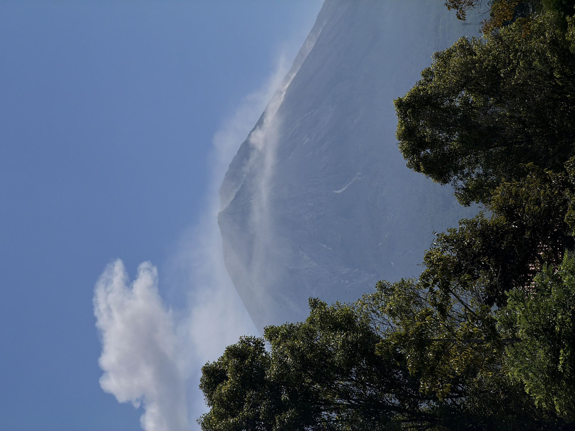 A large, conical volcano looms in the background, its slopes shrouded in a light mist. The volcano is partially obscured by a band of thin clouds that wrap around its upper portion. A distinct plume of smoke or steam rises from the summit. In the foreground, dense green foliage from numerous trees partially frames the view of the volcano. The sky above is a clear, bright blue, with a single, fluffy white cloud in the upper left quadrant. The scene suggests a natural landscape, likely in or near Sidomulyo, Indonesia, given the volcanic terrain and lush vegetation. There are no people or man-made structures clearly visible in the main composition.