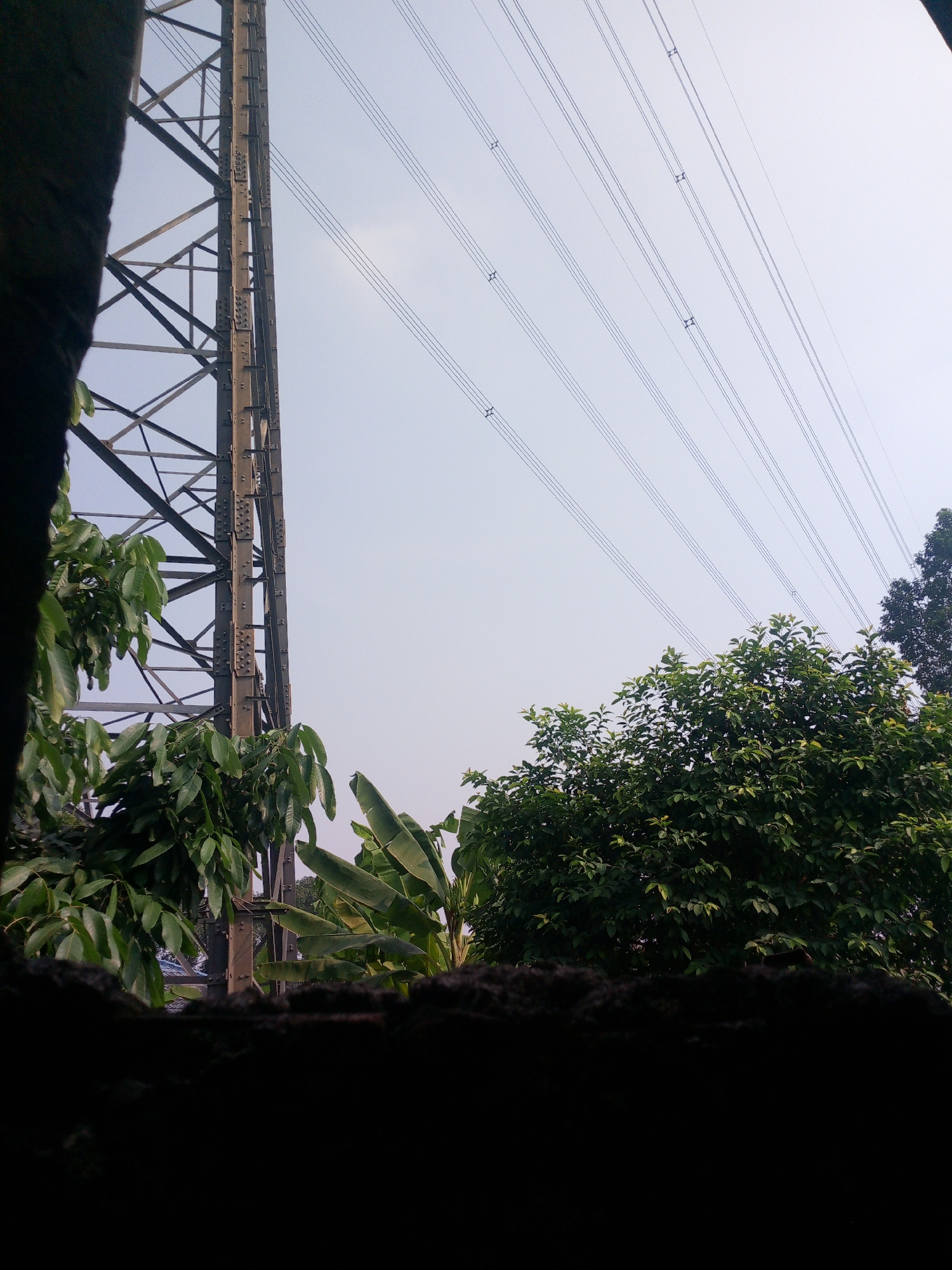 The image depicts a power line tower with multiple transmission lines stretching across a pale sky. Lush green foliage from trees, including banana leaves, is visible in the foreground and partially obscures the lower portion of the tower. The scene is likely situated in Dukuh, Indonesia, given the tropical vegetation. A dark, unidentifiable foreground element, possibly a rough surface or shadow, occupies the very bottom of the frame.