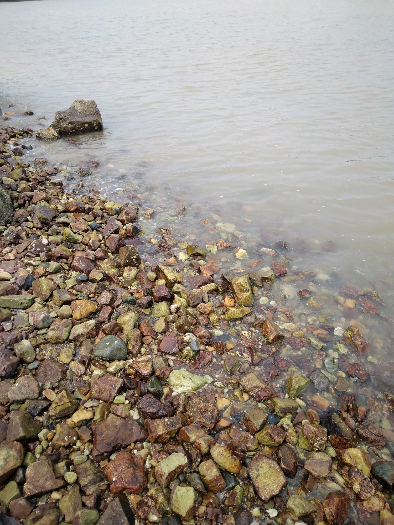 The image displays a rocky shoreline bordering a body of calm, murky water. The foreground is densely packed with numerous stones of varying sizes, colors, and textures, ranging from earthy browns and reds to muted greens and grays. Some of the stones are partially submerged in the water, creating a glistening effect. In the upper left quadrant, a larger, weathered rock formation emerges from the water, its surface encrusted with barnacles or similar marine growth. The water itself is a uniform, light brown color, with subtle ripples visible on the surface. The horizon line is indistinct, with the water meeting a pale, overcast sky. This scene is consistent with the numerous natural coastlines found around Batam Island, Indonesia, particularly along its less developed shores where such rocky beaches are common. No people or any activities are depicted in the image.