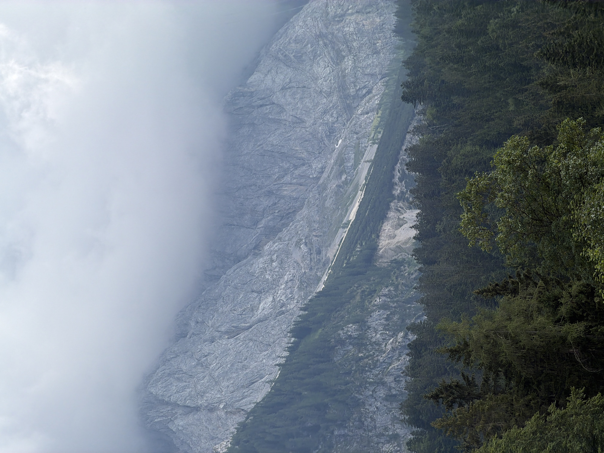 This is a vertical, medium-shot photograph taken from a high vantage point, looking down at a mountainous landscape. The scene is dominated by a sheer, grey rock face that fills the left and central portions of the image. The rock face is textured with numerous fissures and striations, indicating its geological composition. A thick band of white fog or cloud obscures the lower left section of the rock face, creating a stark contrast between the bright fog and the darker rock.
On the right side of the rock face, a dense forest of evergreen trees runs diagonally down the slope. The trees are dark green and appear to be closely packed, with some branches extending towards the rock face. A narrow, lighter-colored path or road can be seen winding its way along the edge of the forest, following the contours of the mountain.
The overall mood is one of natural grandeur and perhaps a bit of mystery, due to the presence of the fog. The lighting suggests it could be daytime, possibly morning or late afternoon, given the diffused light and the overcast or foggy conditions. There are no people or man-made objects clearly visible, apart from the faint line of the path. The location context of Grainau, Germany, suggests this is likely part of the Bavarian Alps.