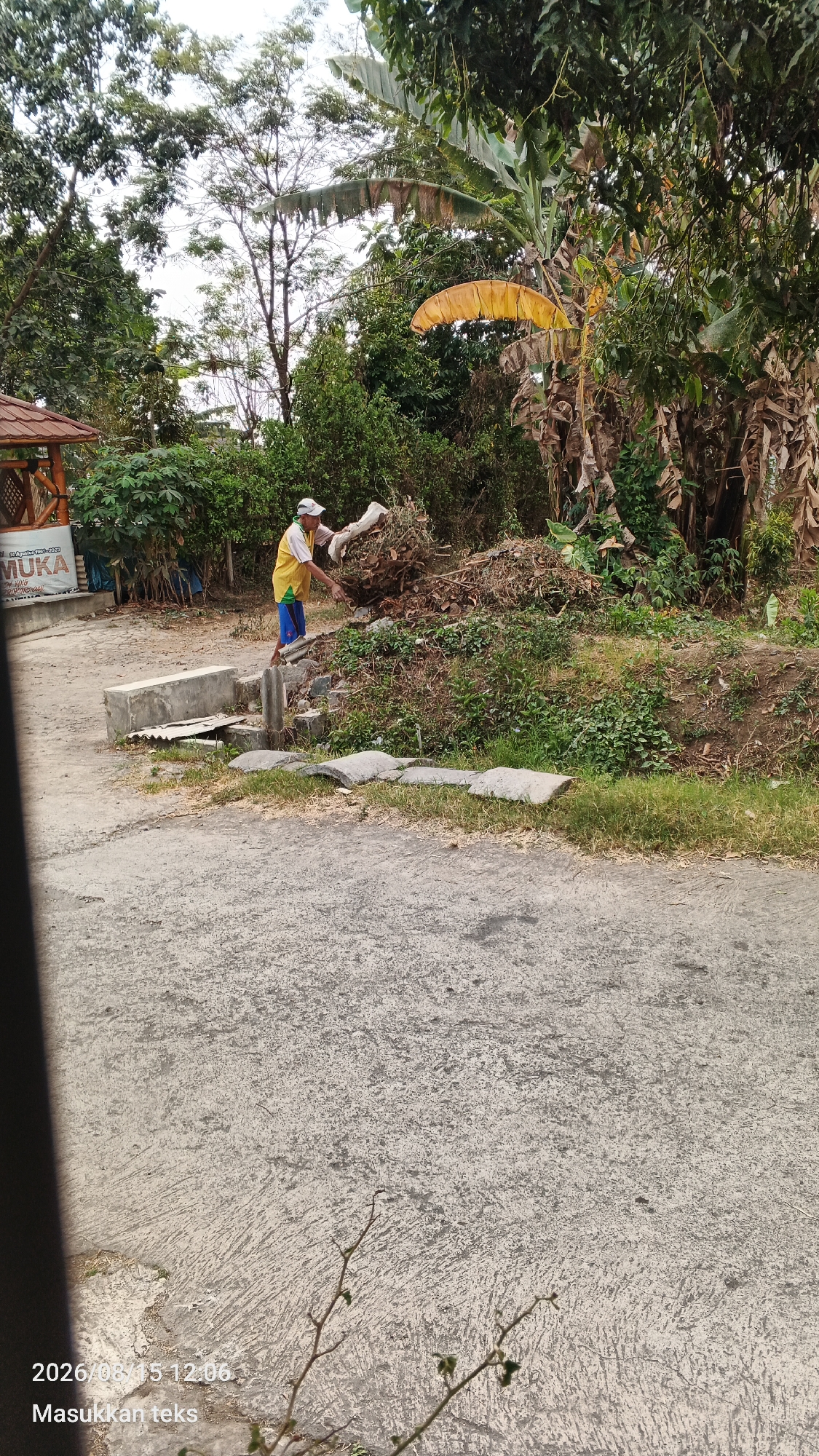 In a scene in Jeru, Indonesia, a person wearing a white cap, a yellow shirt, and blue shorts is gathering debris, likely from clearing vegetation. The person is holding a bundle of dried leaves or branches. The debris is piled up next to a small embankment covered in green foliage. In the background, a variety of trees, including banana trees, are visible. To the left, a small structure with a brown roof and bamboo accents is present, with a sign that appears to read "MUKA". The ground in the foreground is paved with concrete, and a drainage channel runs across it. The image is dated 2026/08/15 12:06.