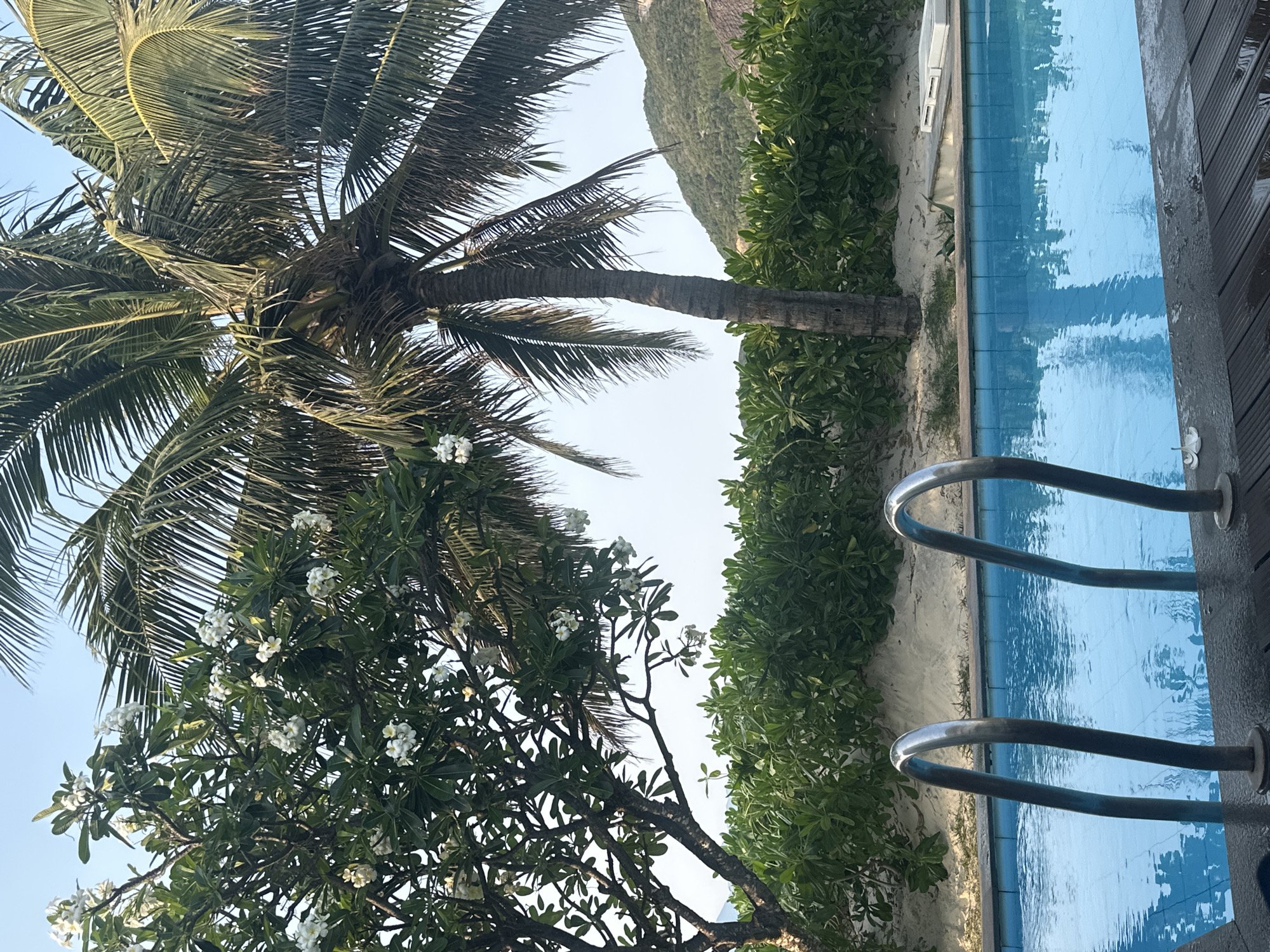 The image shows an outdoor scene with a swimming pool on the right side. Two metal handrails are visible near the pool edge. Next to the pool, there's a sandy area with green bushes. A tall palm tree is on the left, and a smaller tree with white flowers is in the foreground. In the background, a hill can be seen under a clear sky. The location is indicated as Unknown, Unknown.