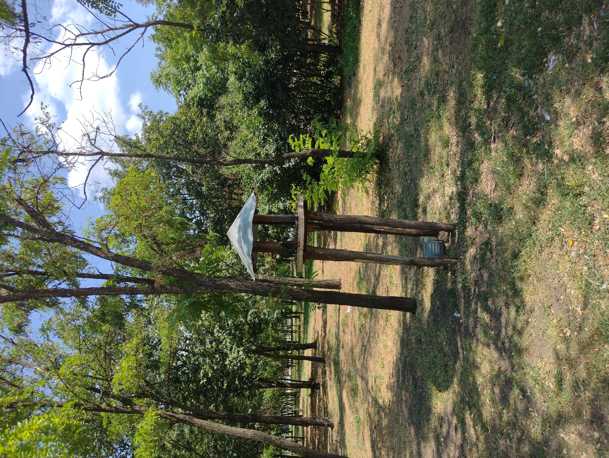 An outdoor, eye-level, wide shot captures a wooden bird feeder standing tall on four posts in a park. The feeder, with a weathered green roof and a flat feeding surface, is positioned centrally in the frame. Two pigeons are visible on the feeder's surface. The surrounding environment is a grassy park with numerous trees casting dappled shadows across the ground. The grass appears dry and patchy in places, with scattered leaves and debris. In the background, more trees and foliage create a dense green backdrop, and a glimpse of a blue sky with scattered white clouds is visible through the canopy. A blue plastic object is attached to the base of the bird feeder's posts.