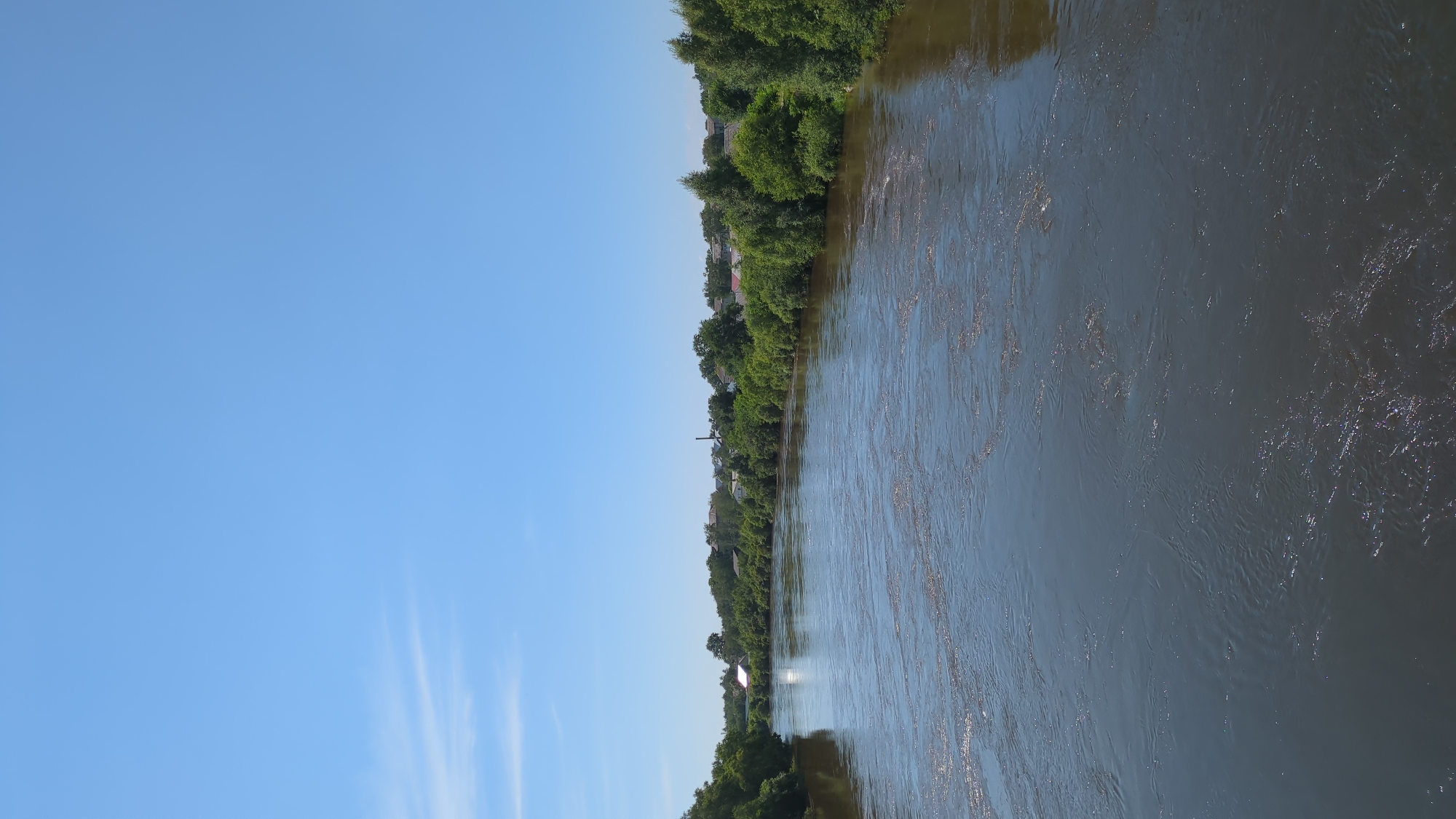 The image captures a wide river flowing through a densely vegetated area, likely a settlement. The river occupies the foreground and midground, its surface rippling and reflecting the bright, clear blue sky. Along the riverbanks, a thick line of lush green trees forms a dense natural barrier, interspersed with glimpses of buildings and rooftops peeking through the foliage. A faint wisp of a cloud is visible in the upper left portion of the sky. The overall impression is one of a serene, rural or semi-rural landscape under a sunny day. The specific location in the city of Khor, Russia, is suggested by the presence of buildings and the geographical setting.