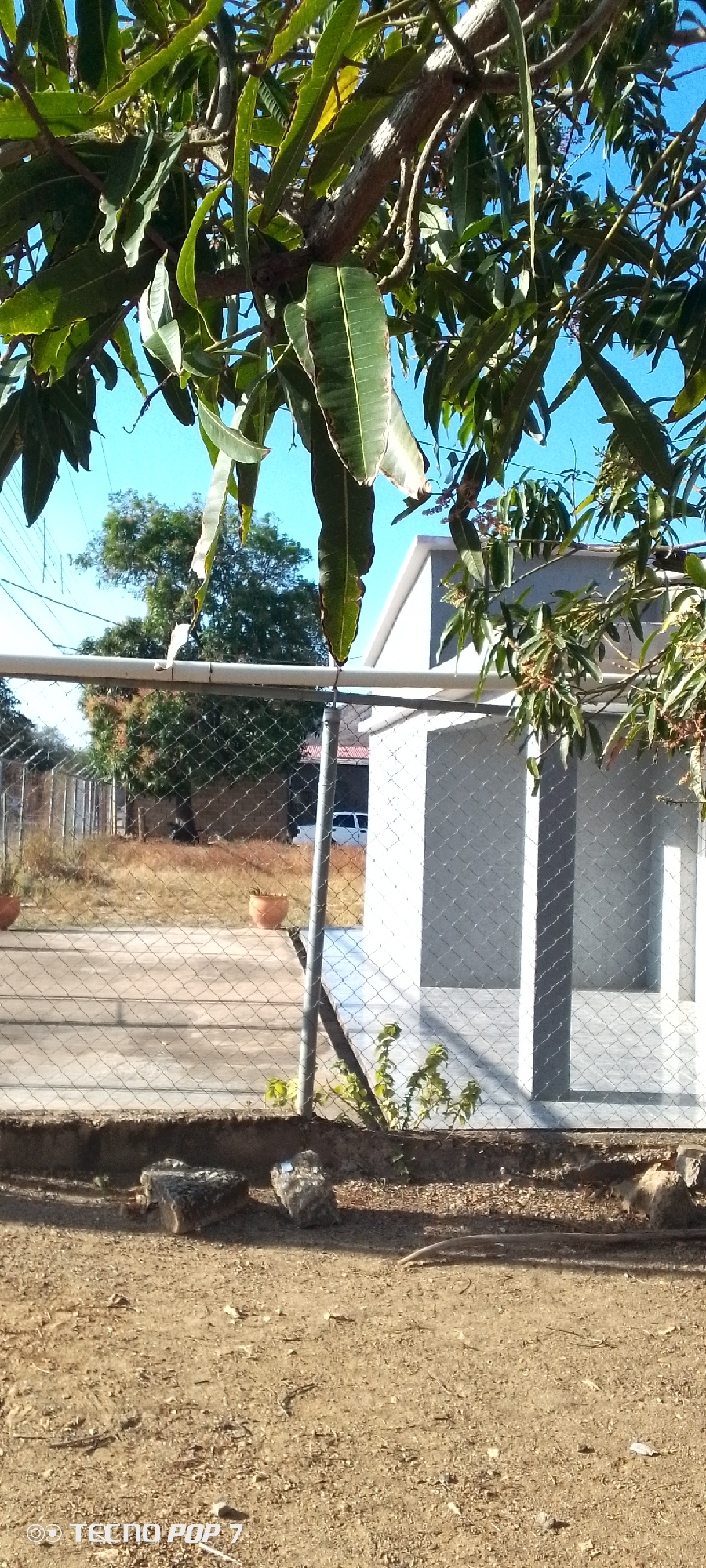 The scene is an outdoor area with a dirt ground in Altagracia, Venezuela. A chain-link fence separates the foreground from a background area that includes sparse grass, a few trees, and a white building with a gray roof, situated behind the fence. Two terracotta pots sit on the other side of the fence. A white car is partially visible in the background behind the building. In the lower left corner there are some rocks on the ground and also a small plant growing between the base of the fence and the rocks. Overhead, tree branches with green leaves provide partial shade to the scene.