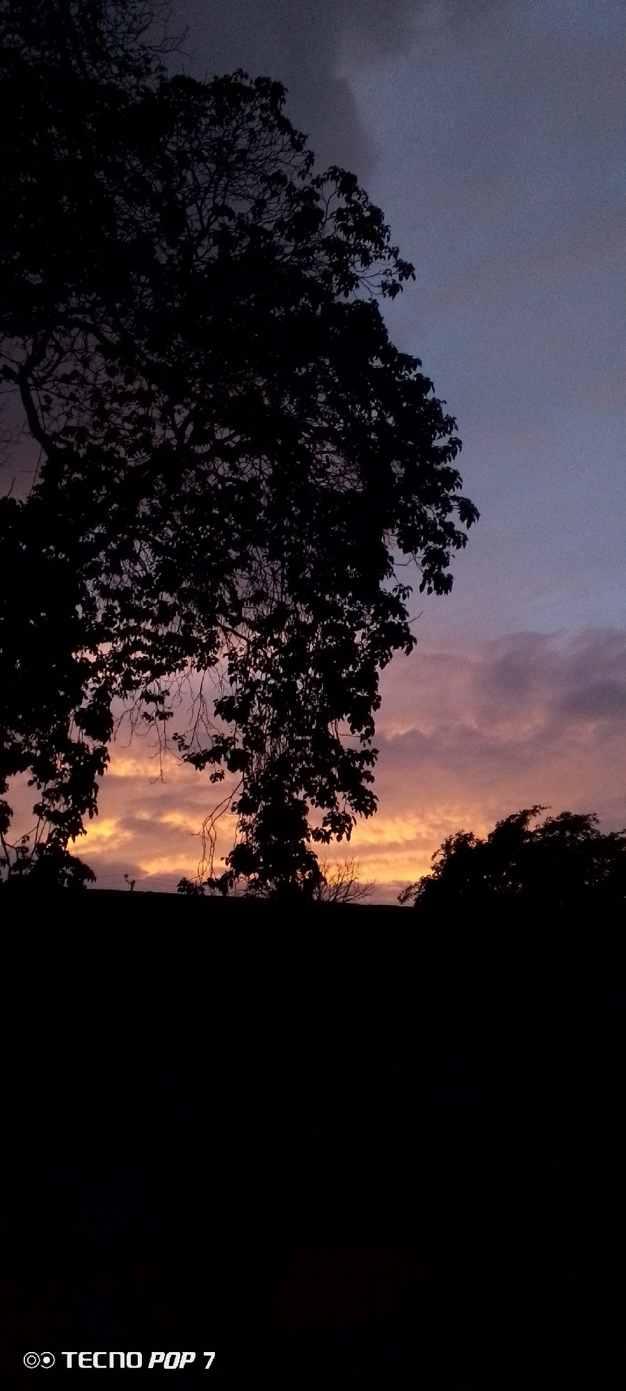 The image captures a silhouette of trees against a twilight sky. The sky displays hues of deep blue and purple, with streaks of orange and pink from the setting sun visible through gaps in the clouds. The foreground is dominated by the dark shapes of foliage and branches, obscuring the ground and any potential objects or people. The lower right corner of the image contains a watermark indicating "TECNO POP 7". The scene appears to be an outdoor natural setting, possibly on the outskirts of a city given the dark silhouette of land in the middle ground which could suggest buildings or elevated terrain. Without further information, it is not possible to definitively place the image in Altagracia, Venezuela.