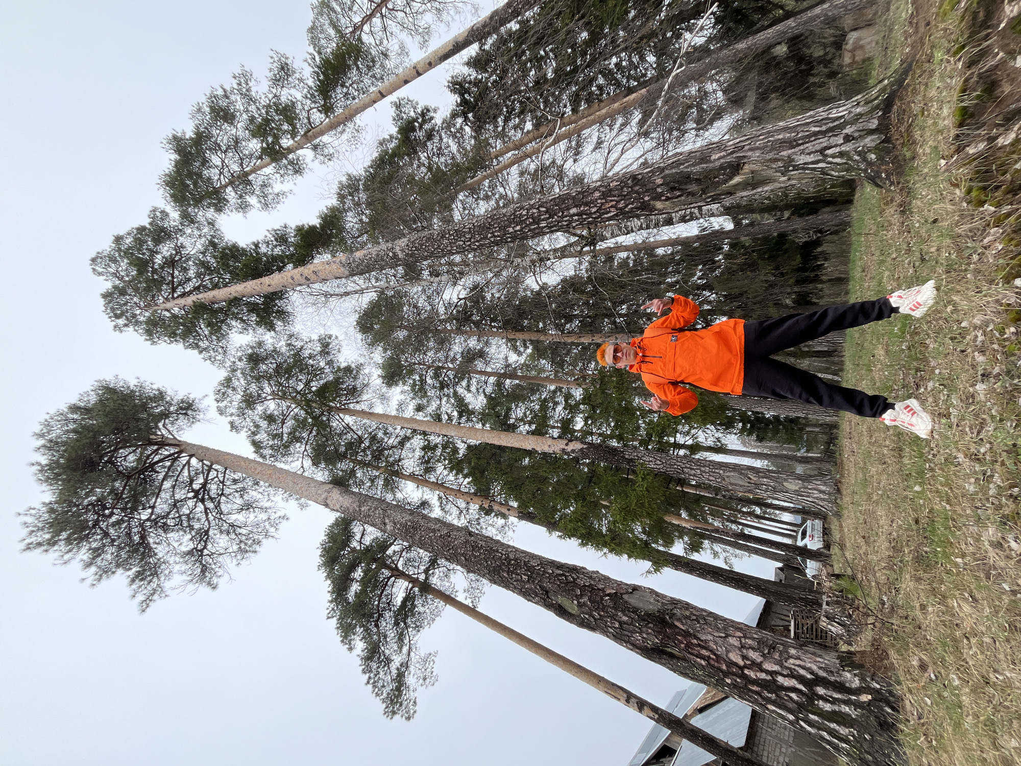 A person in an orange jacket and black pants is standing at an angle in a forest of tall, slender trees. The trees have gray bark and green foliage at their tops. The ground is covered with grass and some dead leaves. The sky is overcast. A building and a white car are visible in the background. The location is likely in the city of Chaikovsky, Russia.