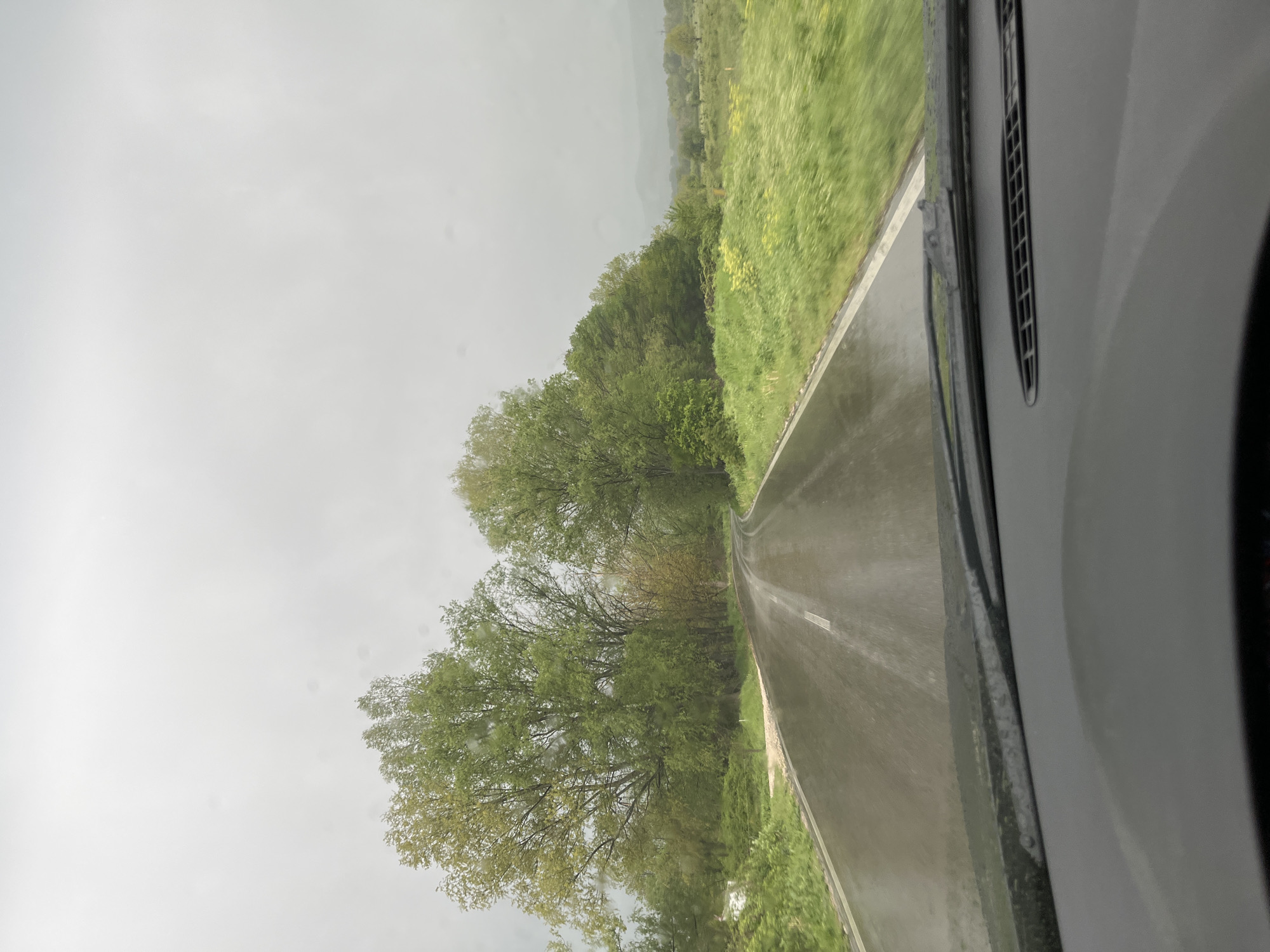 The image depicts a rainy road, likely taken from inside a moving vehicle. Trees line both sides of the road, and a grassy field is visible on the right. The sky is overcast, and water droplets streak across the windshield. The location is unknown.