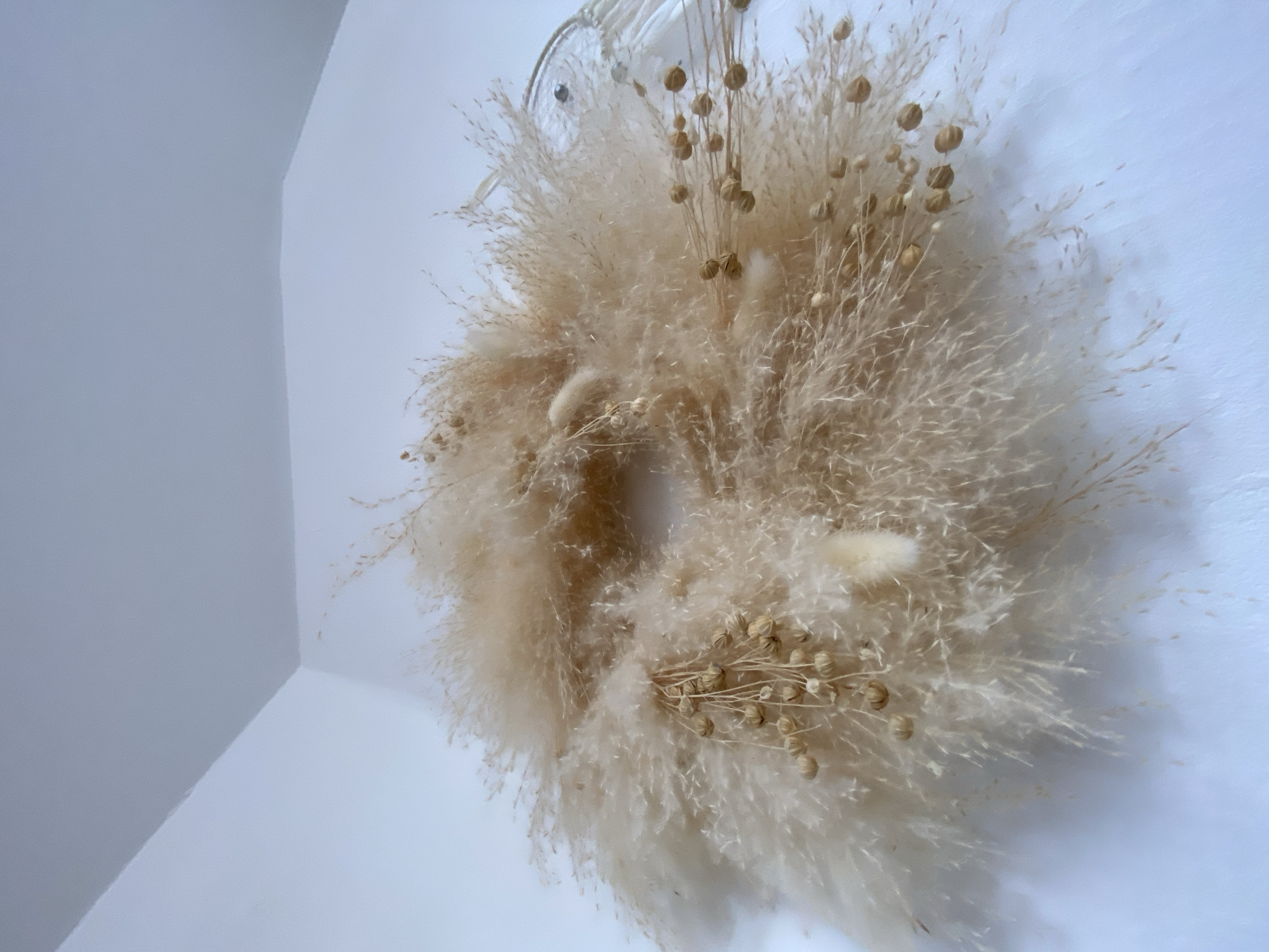 The image displays a dried floral wreath hanging on a white wall, with a white ceiling corner visible in the upper left. The wreath is composed of dried grasses and seed pods in neutral, earthy tones. The background is a plain white wall, suggesting an indoor setting. There are no people or animals present. The image does not provide any information that could indicate its location in the city of Bad Sachsa, Germany.