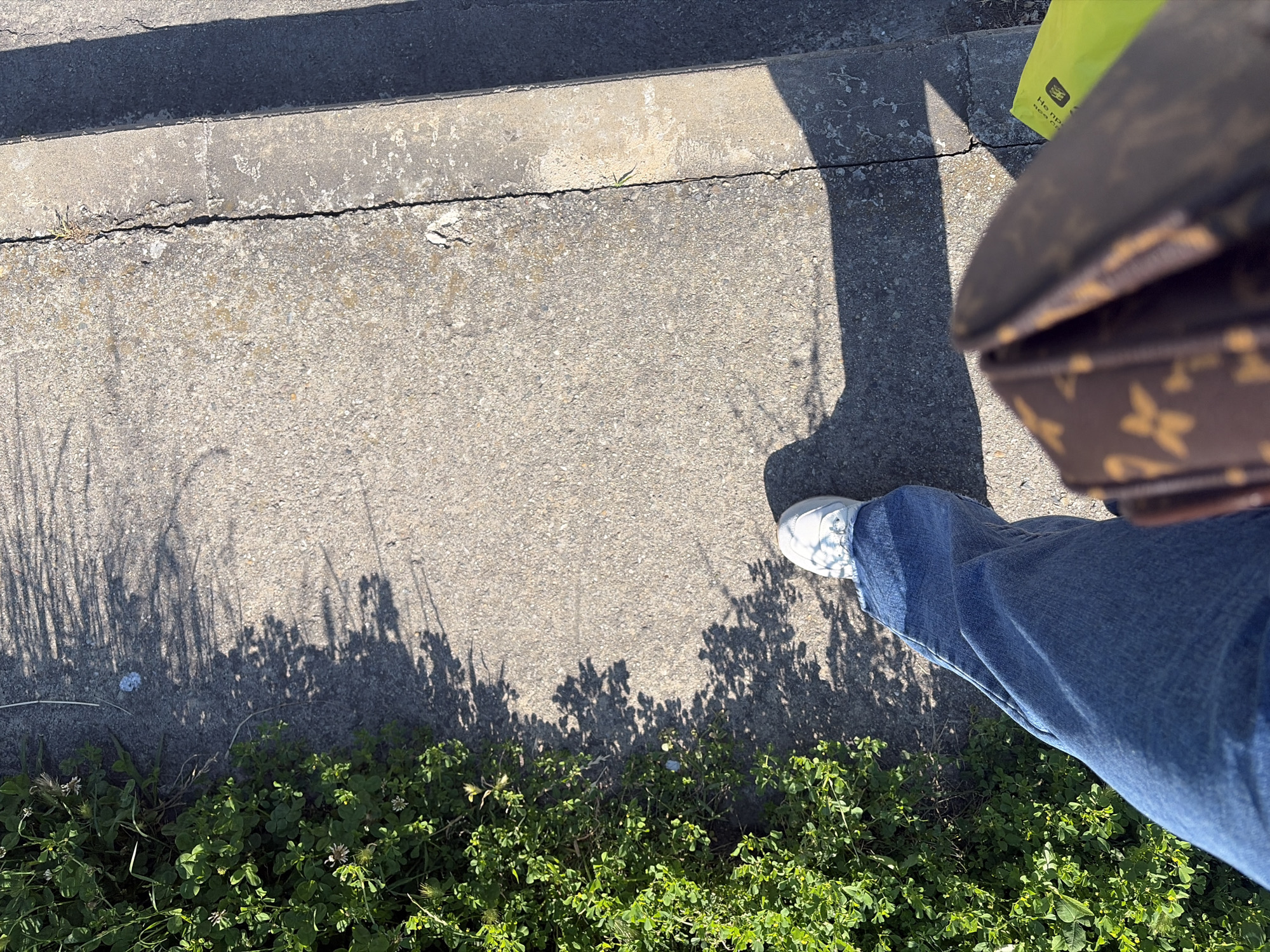 An overhead, slightly angled shot captures a person's lower right leg and foot on a concrete sidewalk in Sochi, Russia. The person is wearing blue jeans and a white sneaker. On the upper right, a brown bag with a repeating monogram-like pattern (reminiscent of Louis Vuitton) is held, partially obscuring a bright lime green shopping bag behind it. Obscured Cyrillic text is visible on the green bag.
The concrete sidewalk exhibits minor cracks and small tufts of grass growing through the seams. A dark grey concrete curb runs across the upper mid-section of the frame, suggesting a transition between paved areas. Lush green vegetation, primarily clover-like plants and grass, forms a dense patch along the bottom edge of the concrete.
The scene is bathed in bright sunlight, indicated by the sharp, elongated shadows cast across the concrete. Shadows of sparse grass and plants stretch from the left side, while a large, distinct shadow, likely of the person taking the photo, extends from the right across the sidewalk. The strong shadows suggest it is a sunny day, likely morning or afternoon. The image depicts an outdoor setting, presumably taken by the person as they walk or stand on the sidewalk.